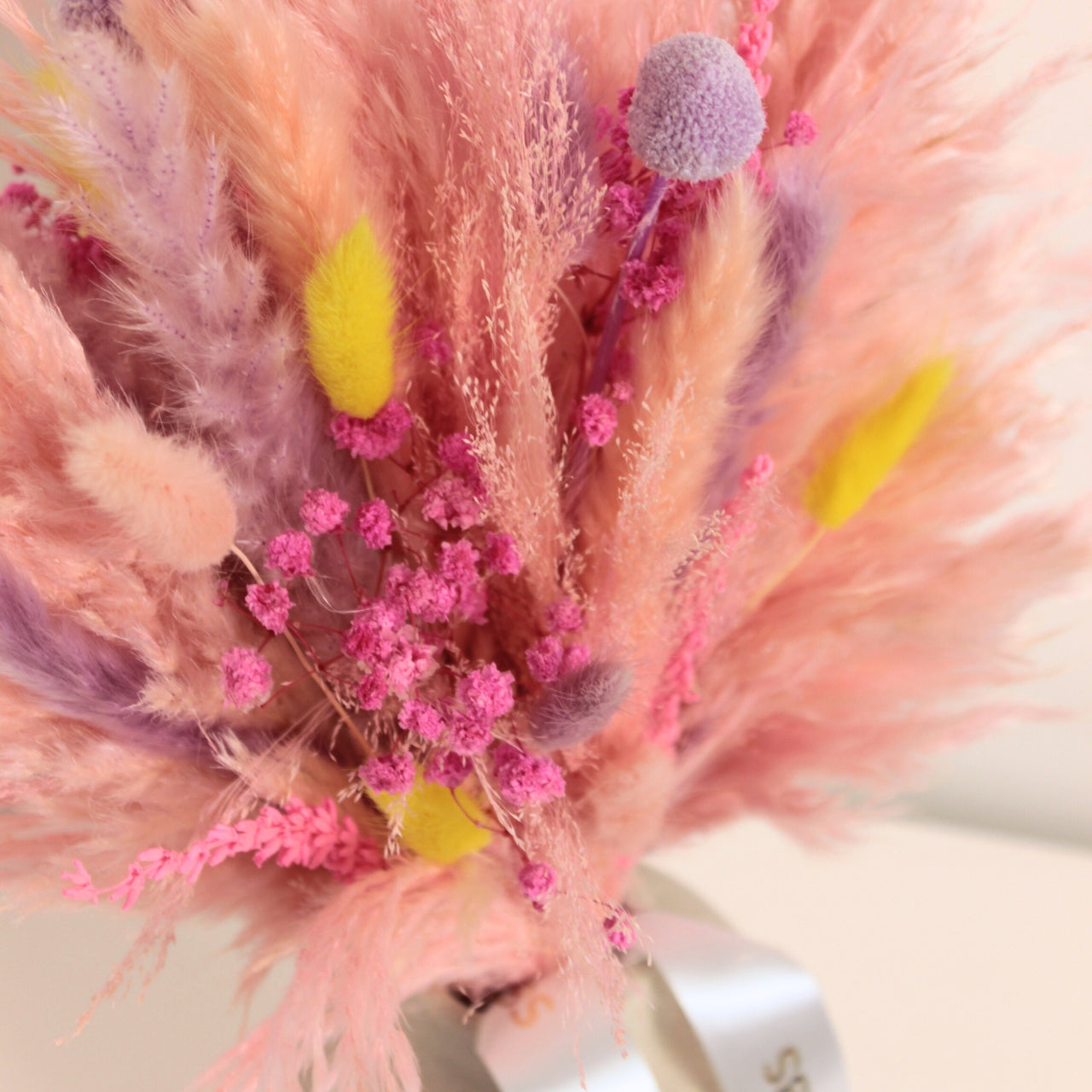 CANDY BLOOM SAUSO ZIEDU PUŠĶIS