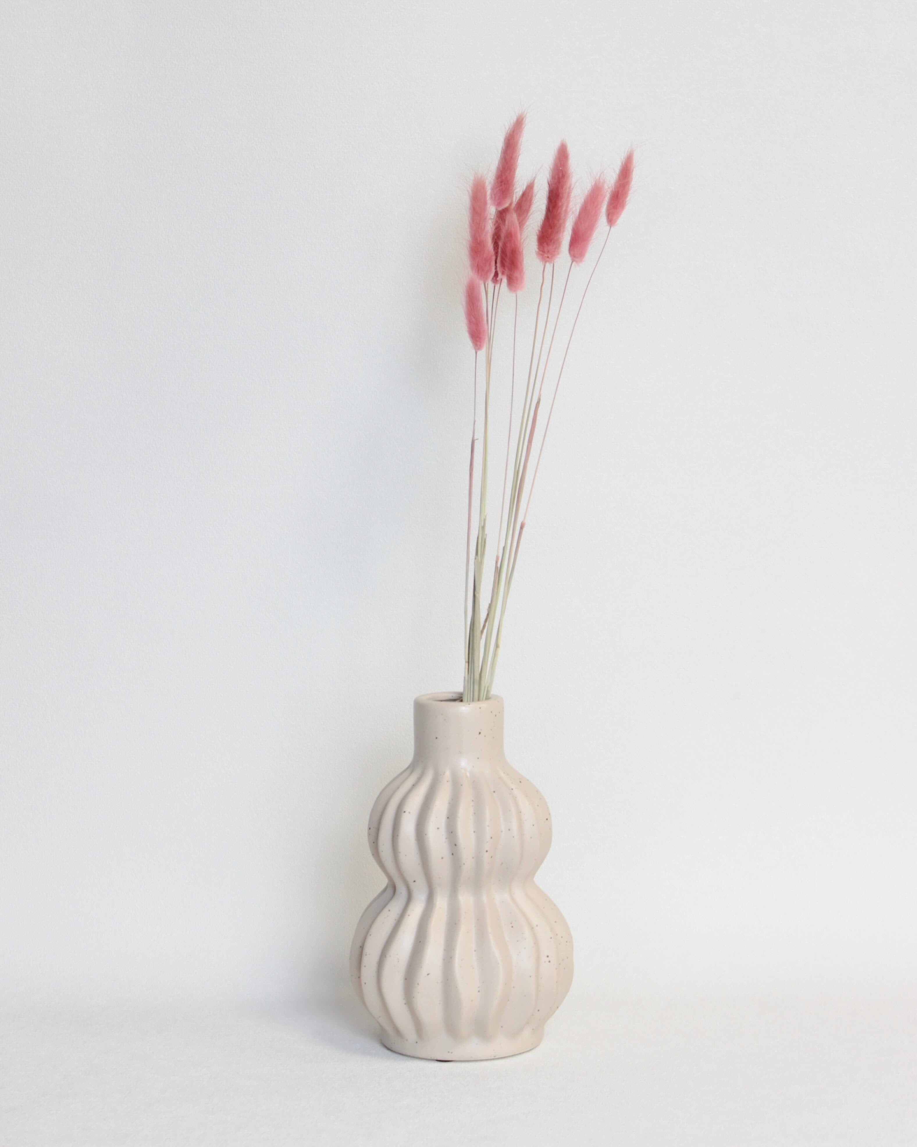 Zaķaste (Lagurus) – Gaiši Burgundijas