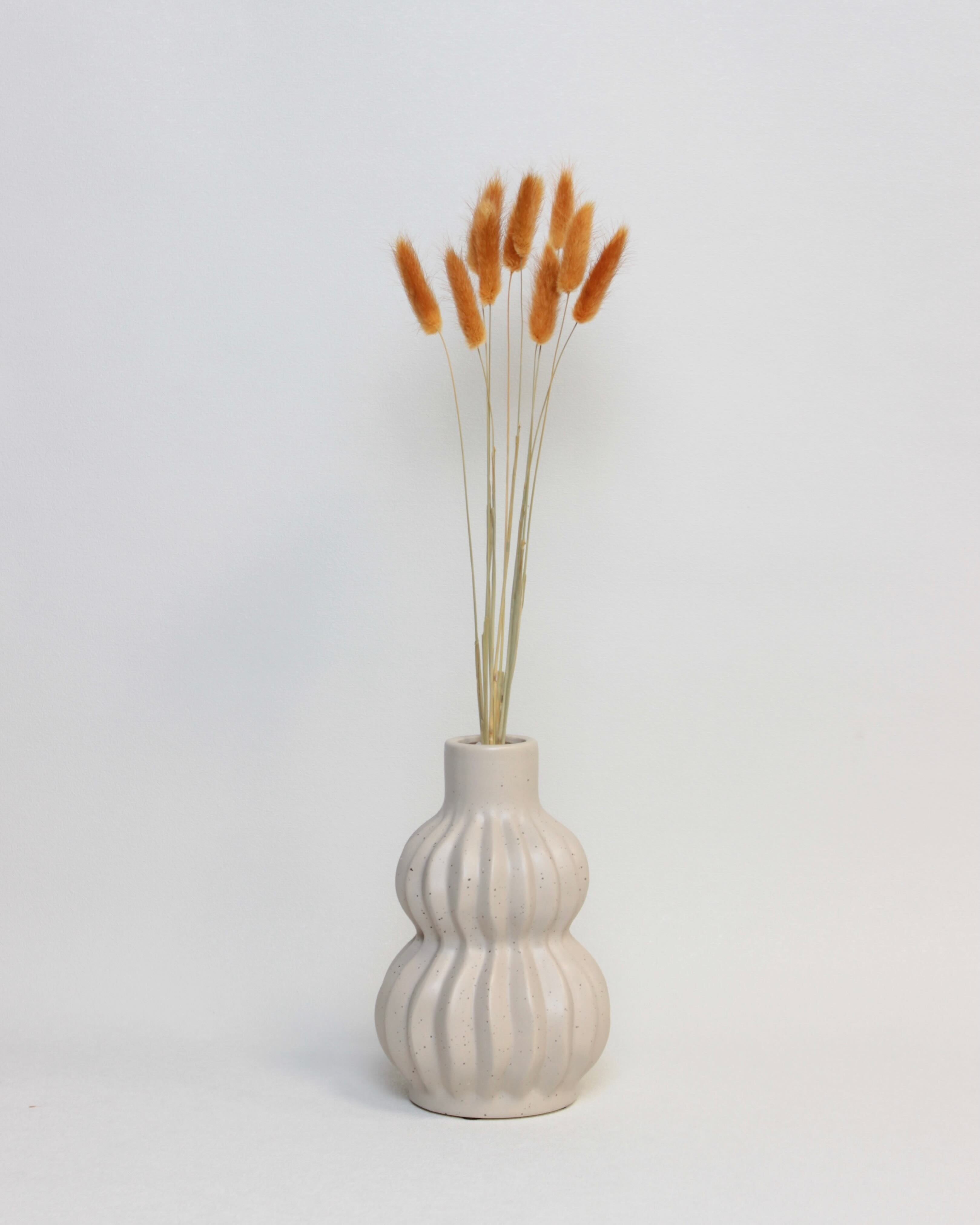 Zaķaste (Lagurus) – Dedzināti Oranža