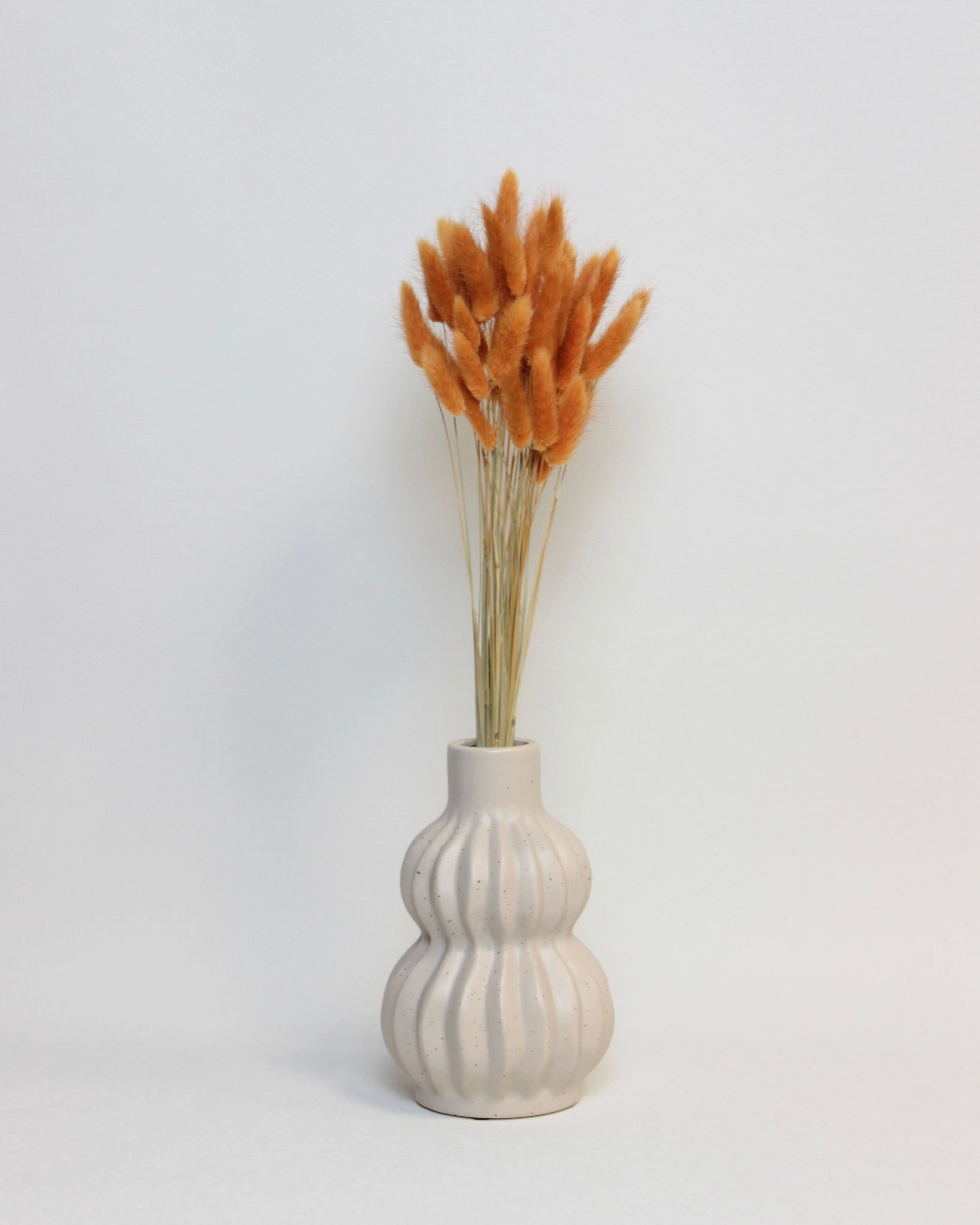 Zaķaste (Lagurus) – Dedzināti Oranža