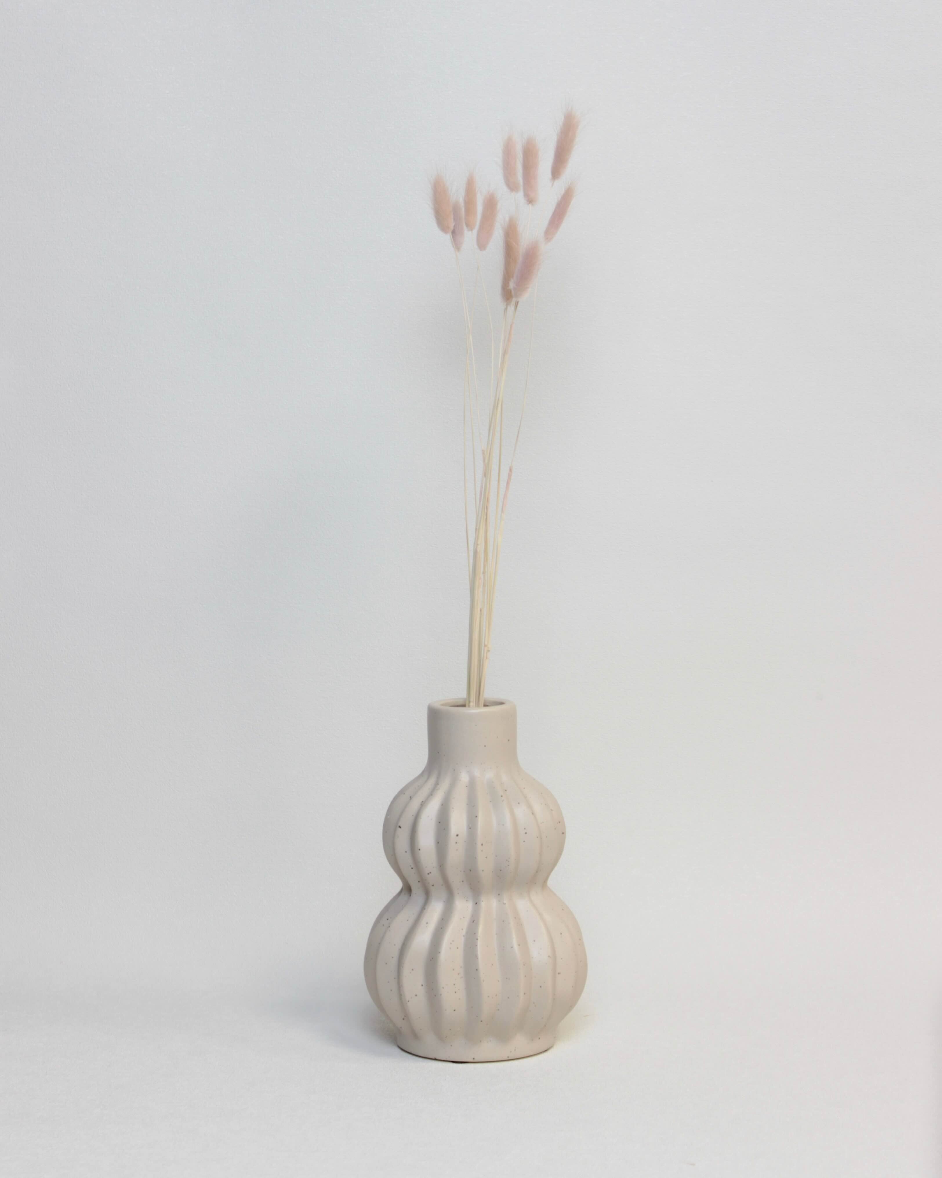 Zaķaste (Lagurus) – Kvarca Rozā