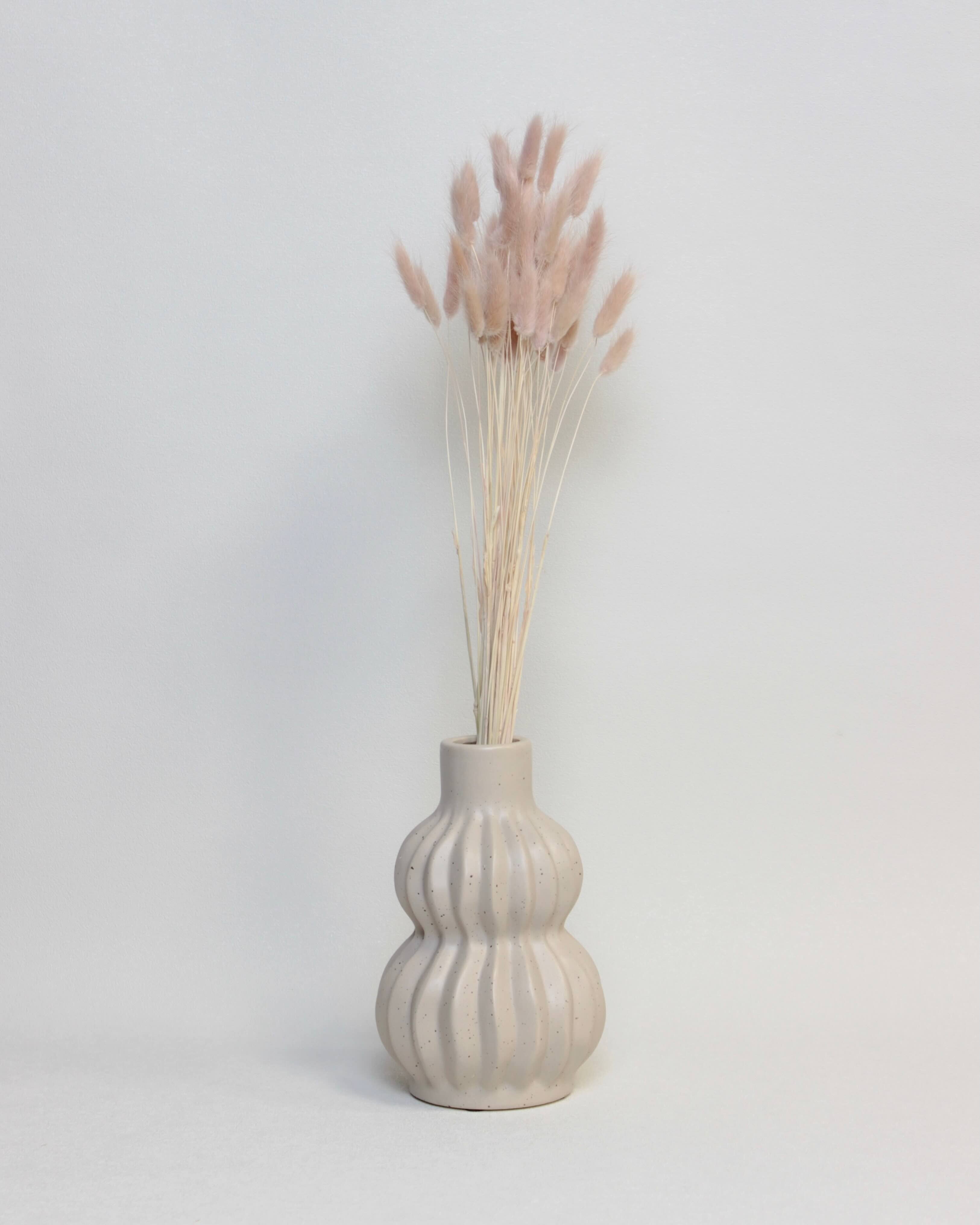 Zaķaste (Lagurus) – Kvarca Rozā