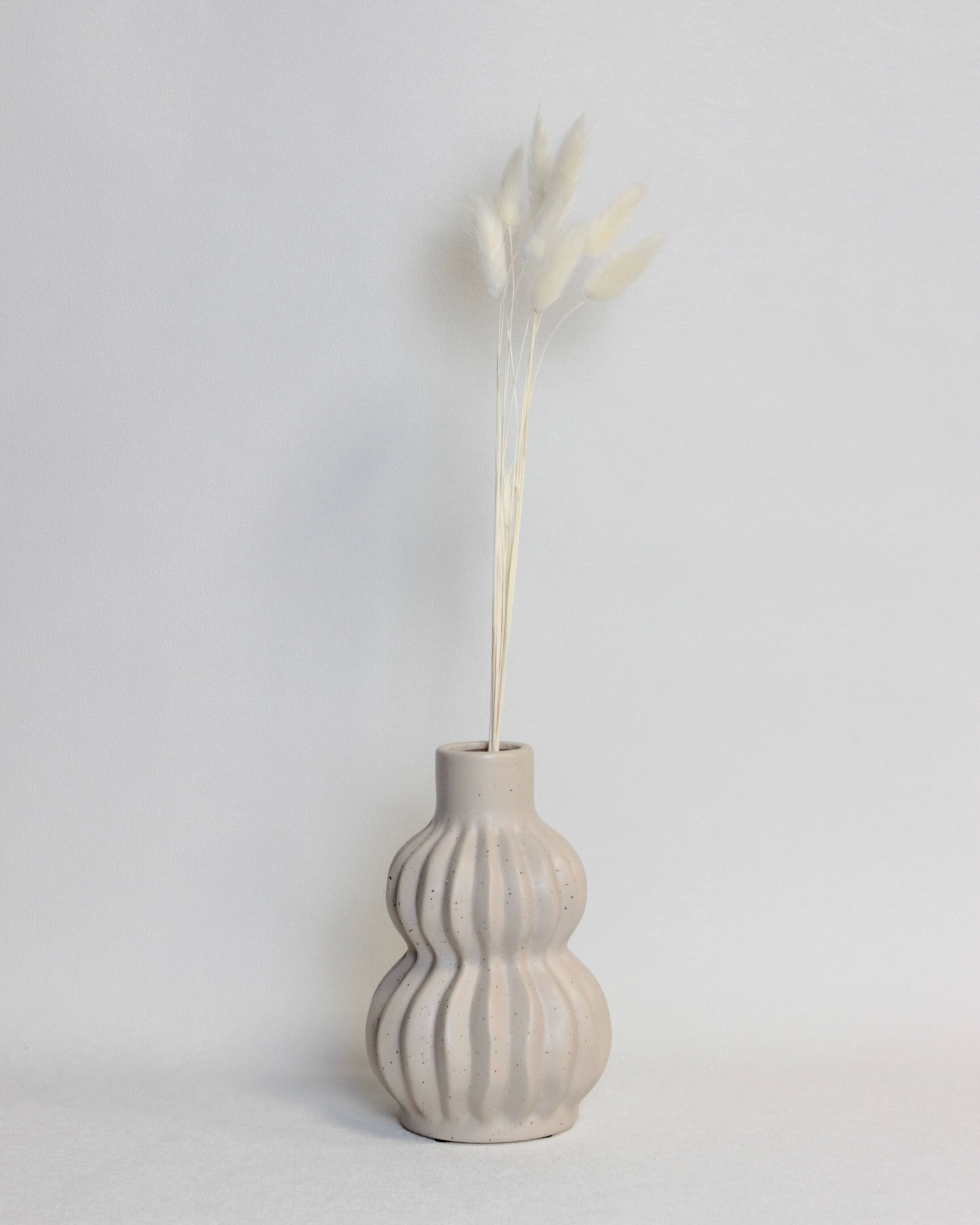 Zaķaste (Lagurus) – Ziloņkaula