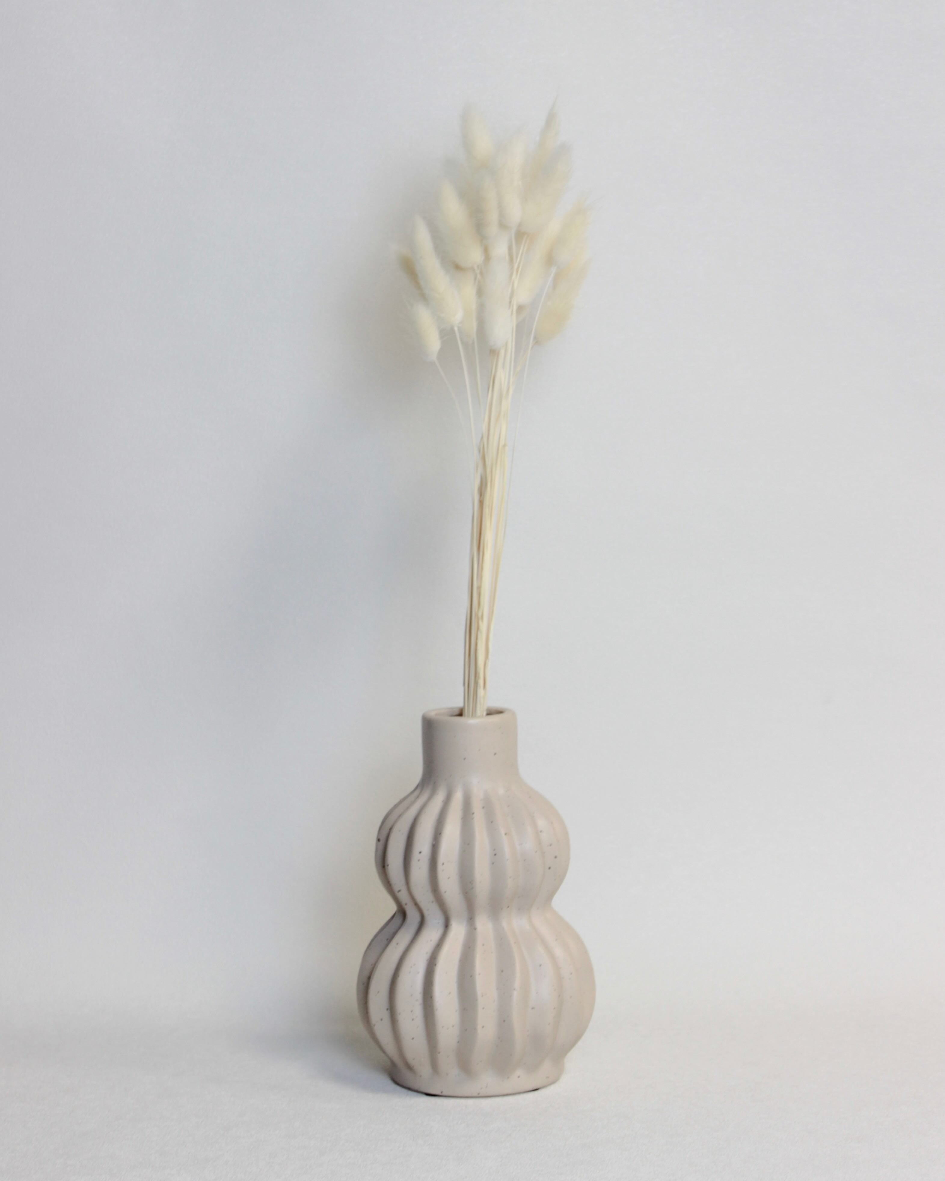 Zaķaste (Lagurus) – Ziloņkaula