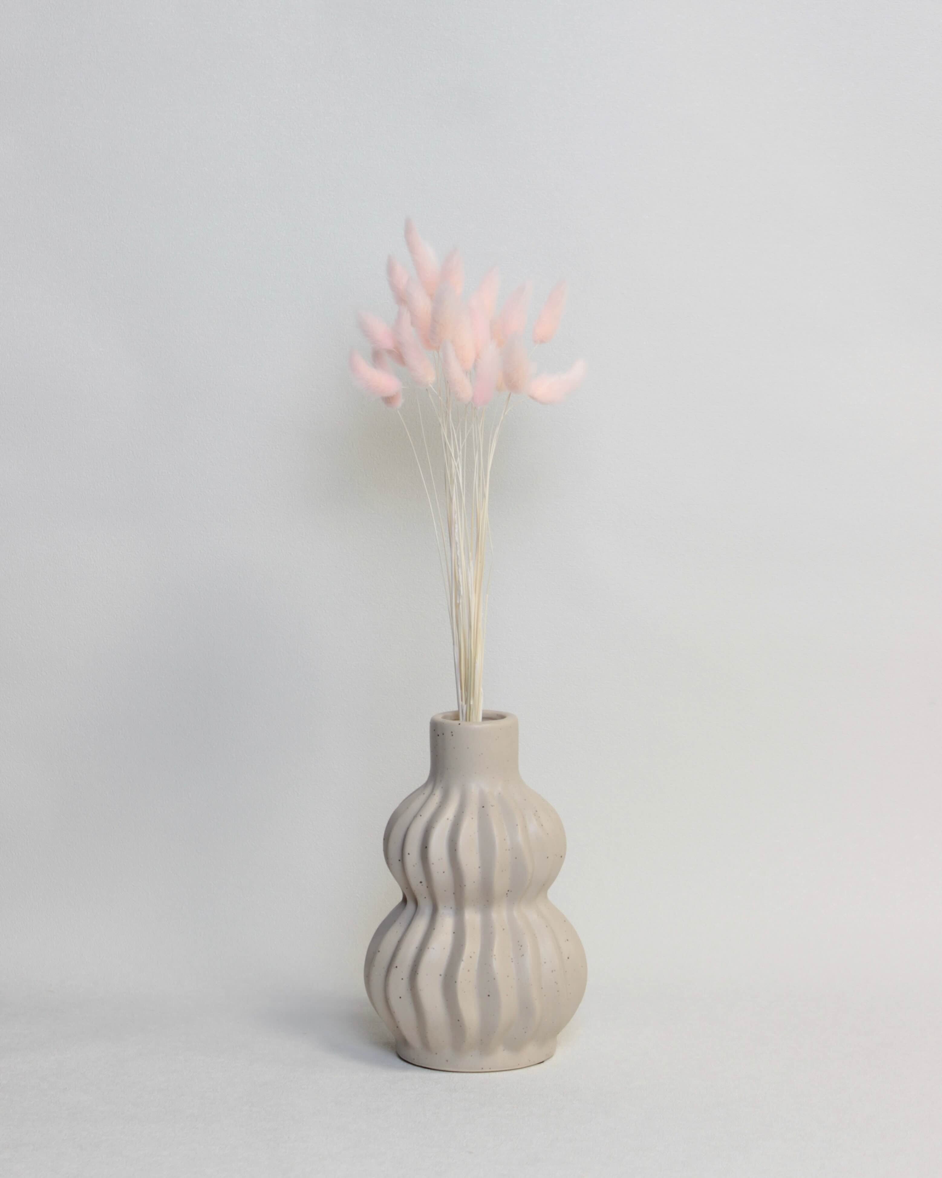 Zaķaste (Lagurus) – Gaiši Rozā