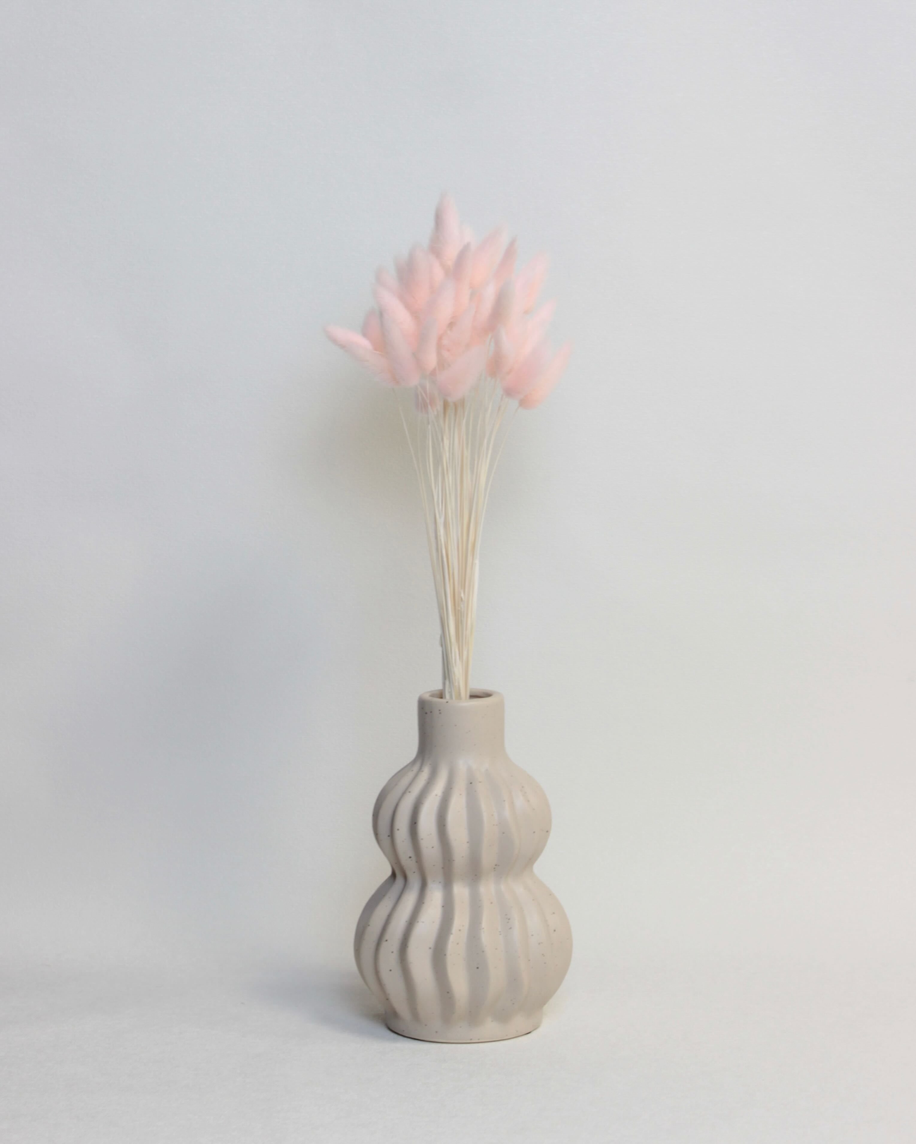 Zaķaste (Lagurus) – Gaiši Rozā