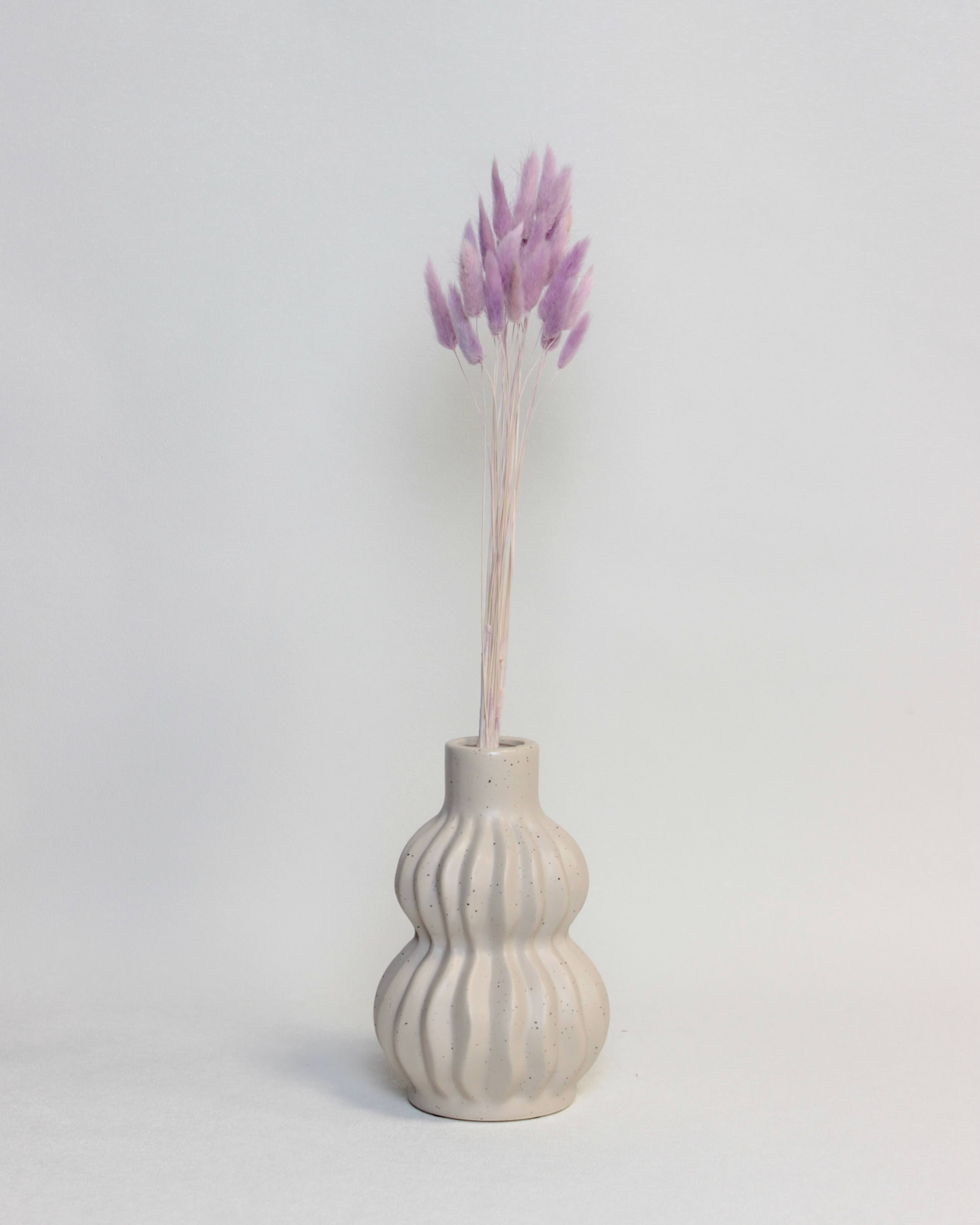 Zaķaste (Lagurus) – Lillā