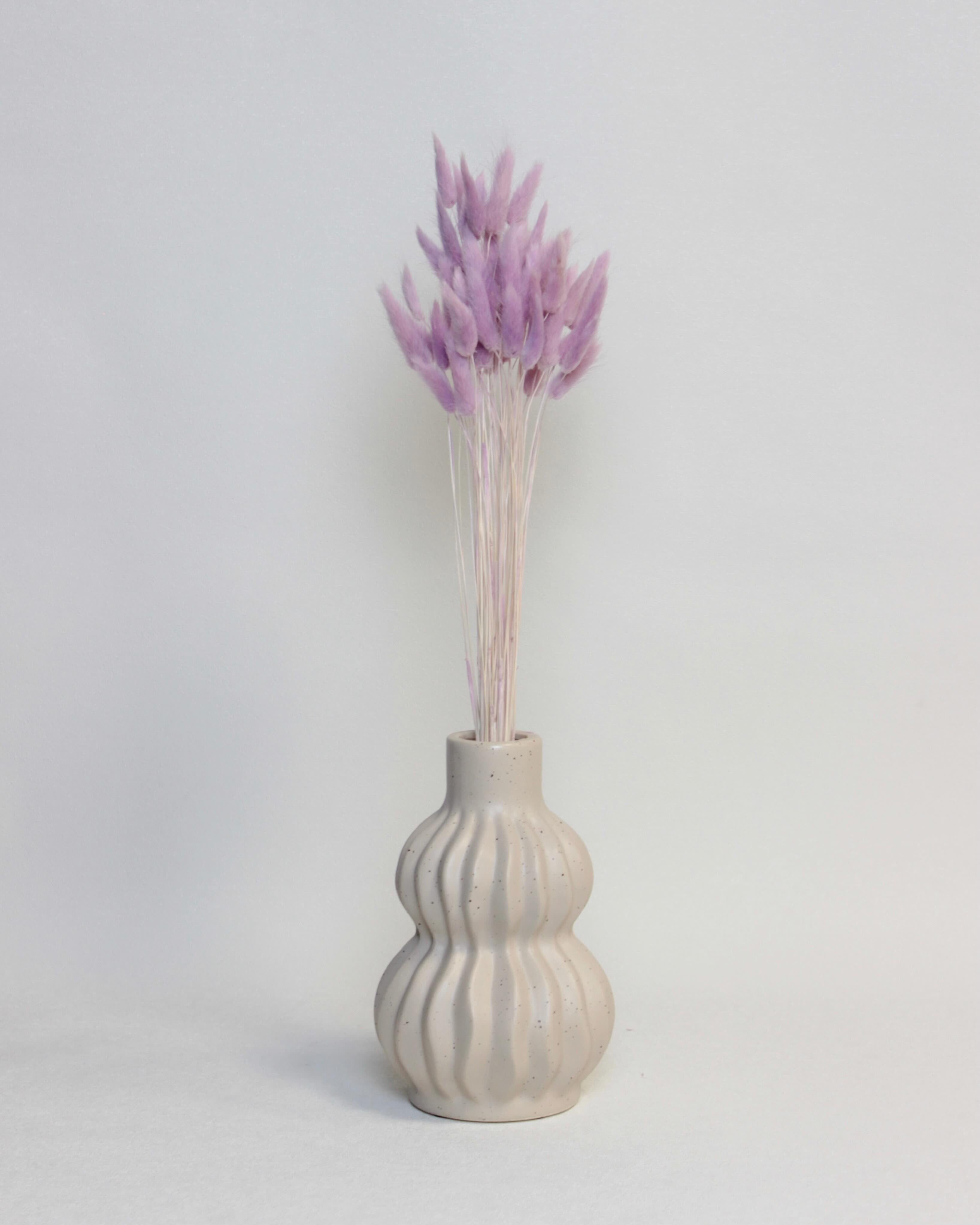 Zaķaste (Lagurus) – Lillā