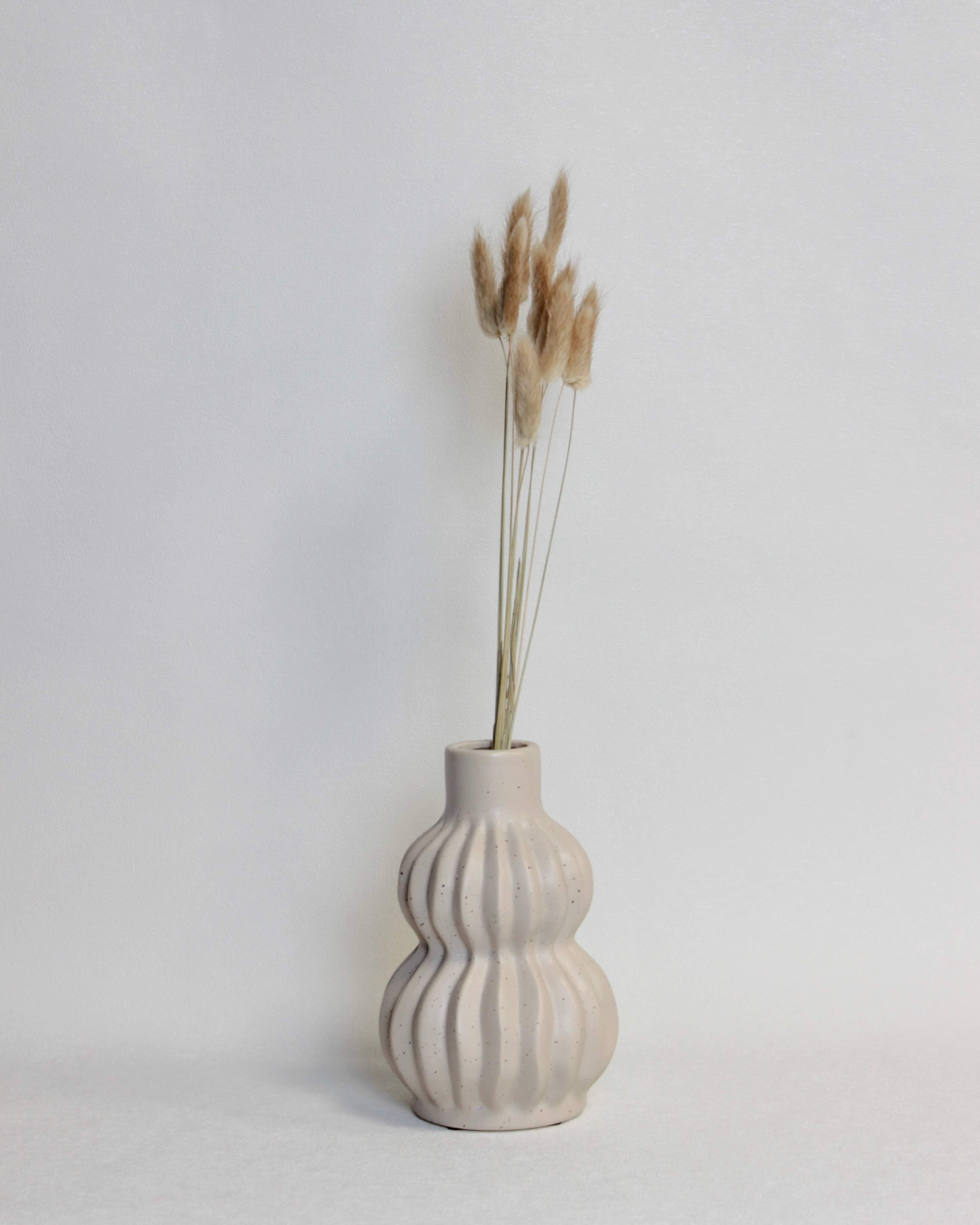 Zaķaste (Lagurus) – Dabīga