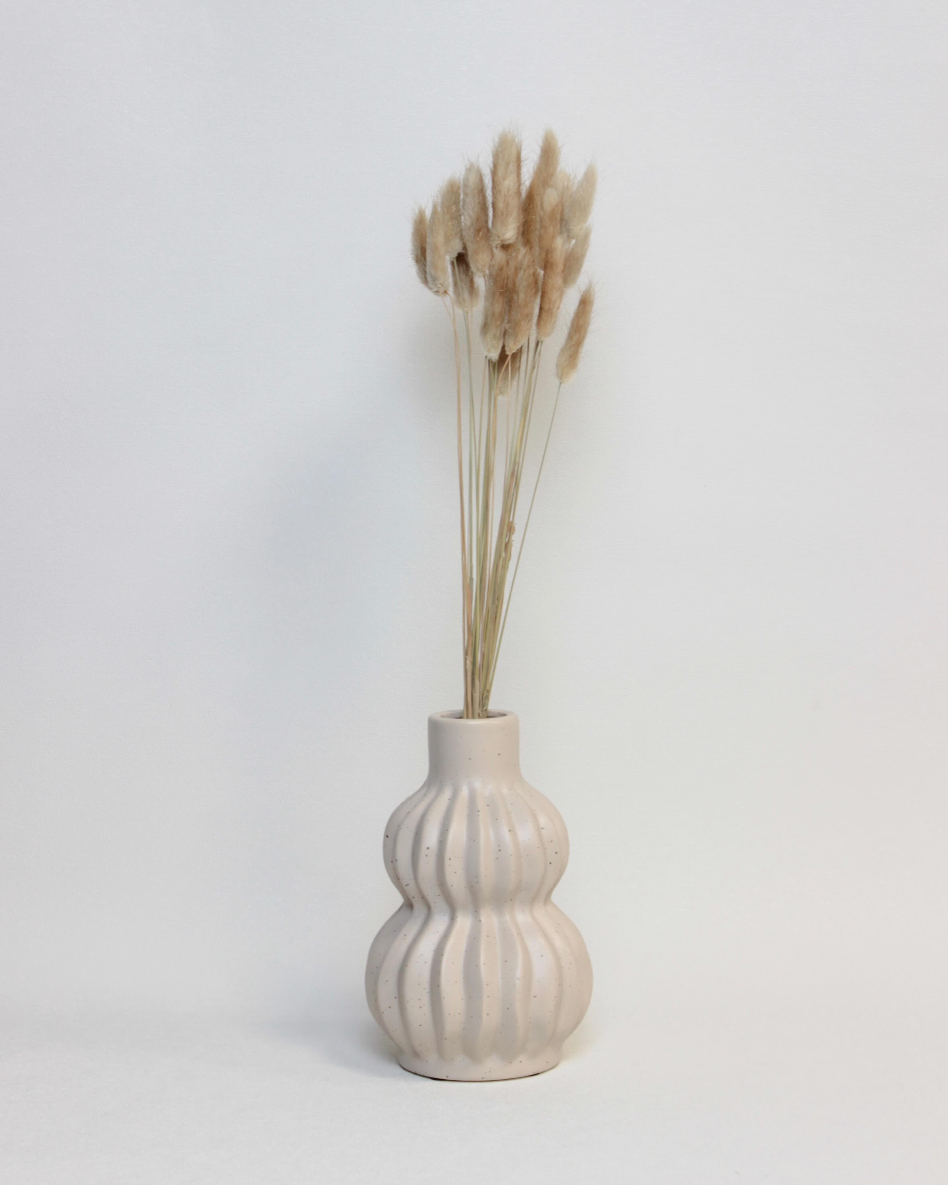 Zaķaste (Lagurus) – Dabīga