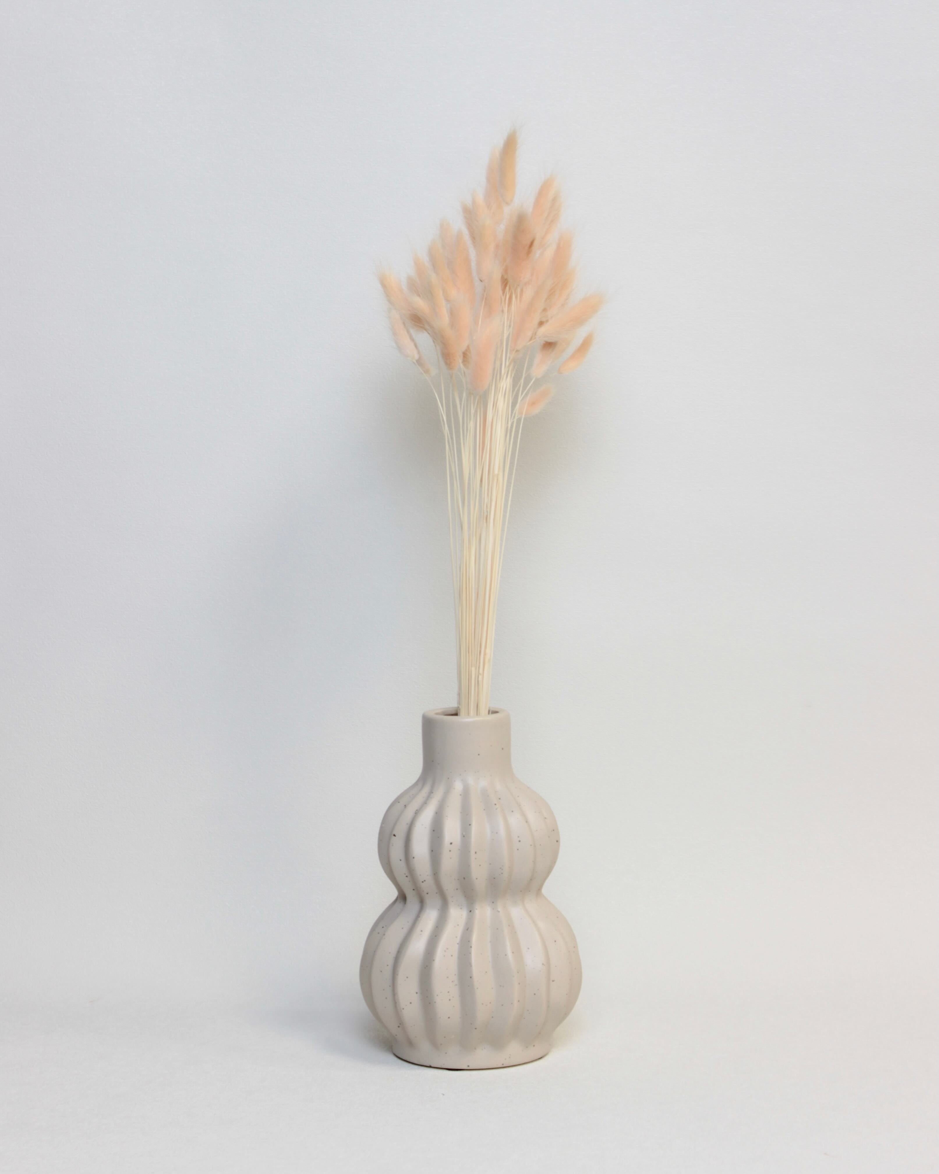 Zaķaste (Lagurus) – Persiku Rozā