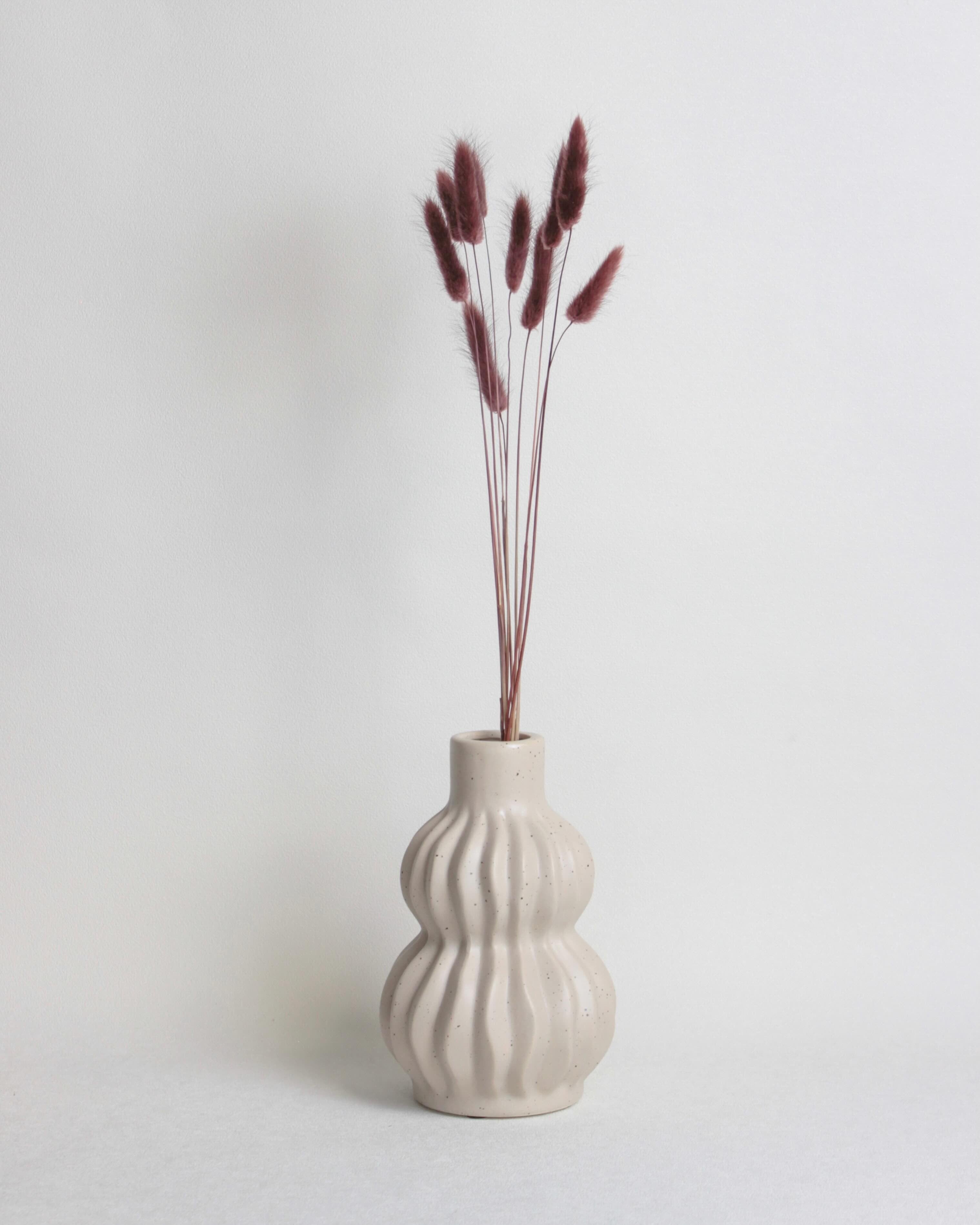 Zaķaste (Lagurus) – Burgundijas