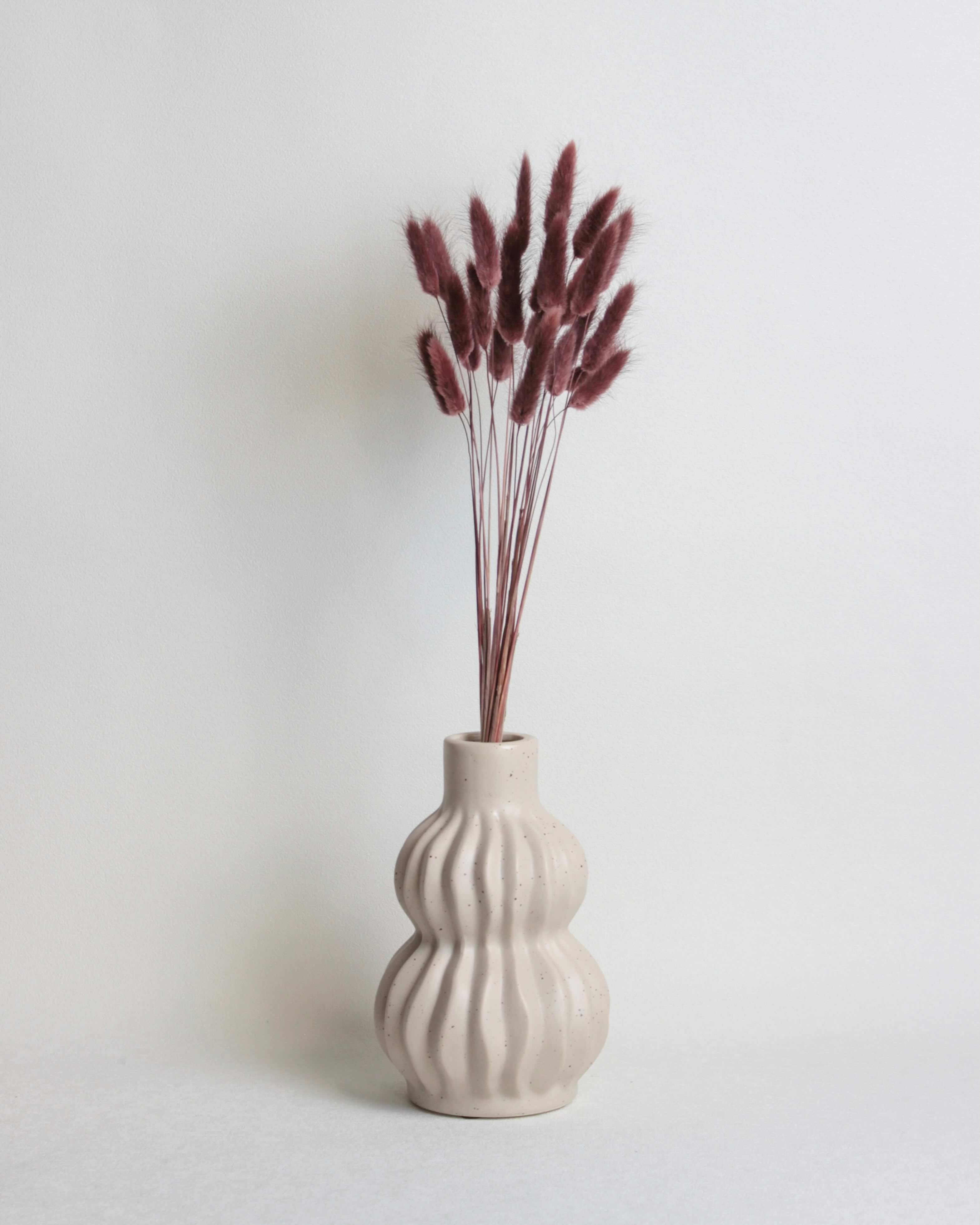 Zaķaste (Lagurus) – Burgundijas