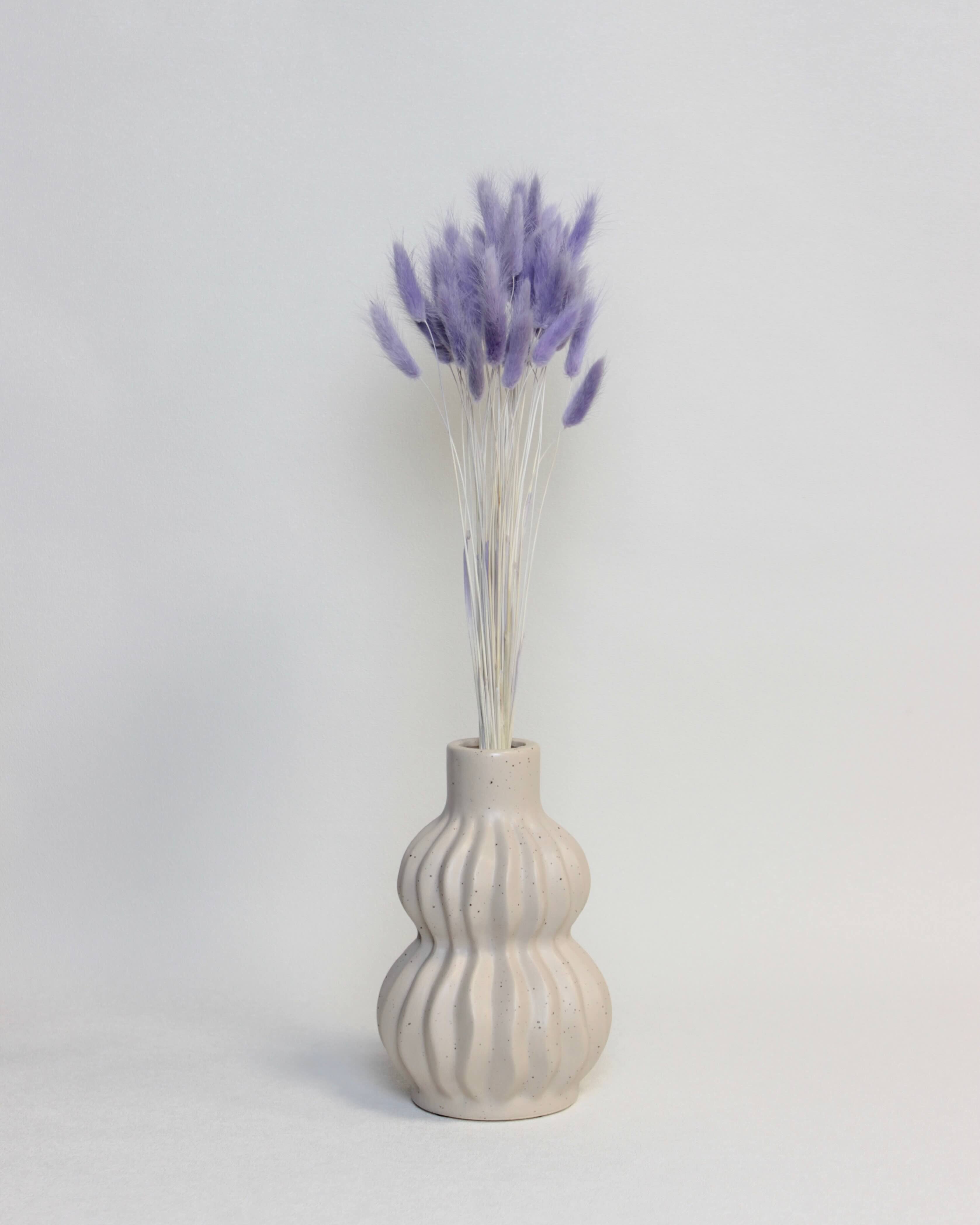 Zaķaste (Lagurus) – Violeta