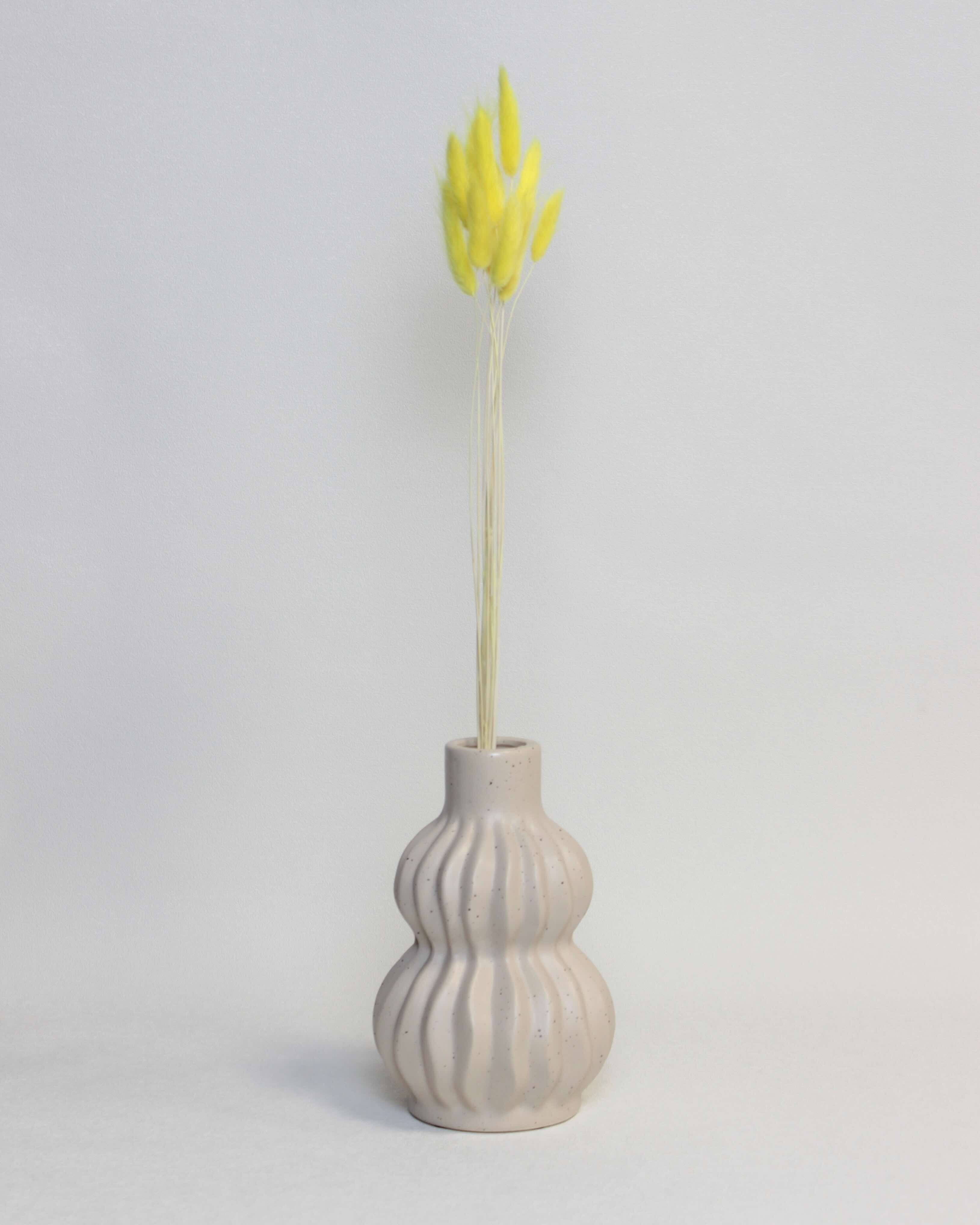 Zaķaste (Lagurus) – Spilgti Dzeltena