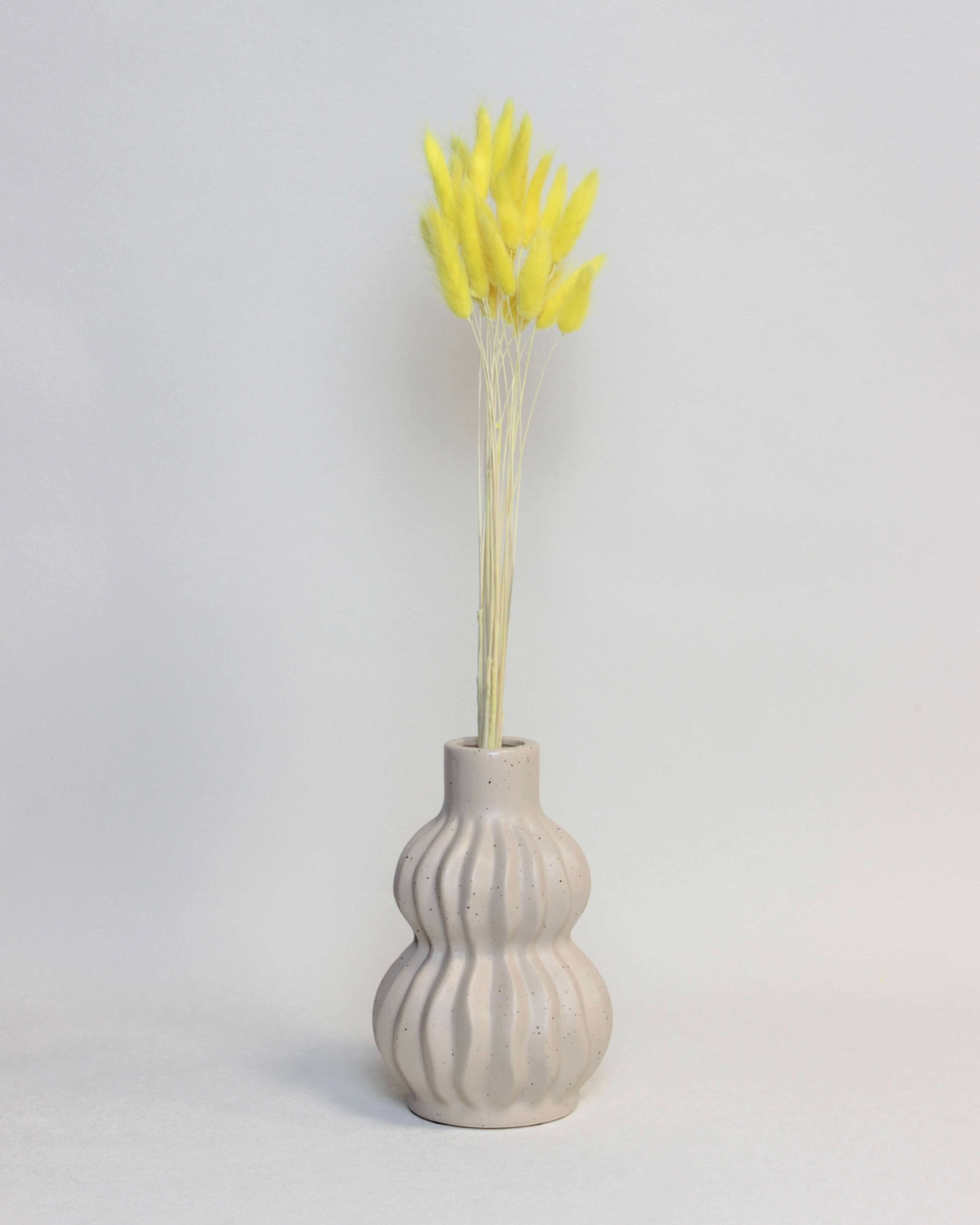 Zaķaste (Lagurus) – Spilgti Dzeltena