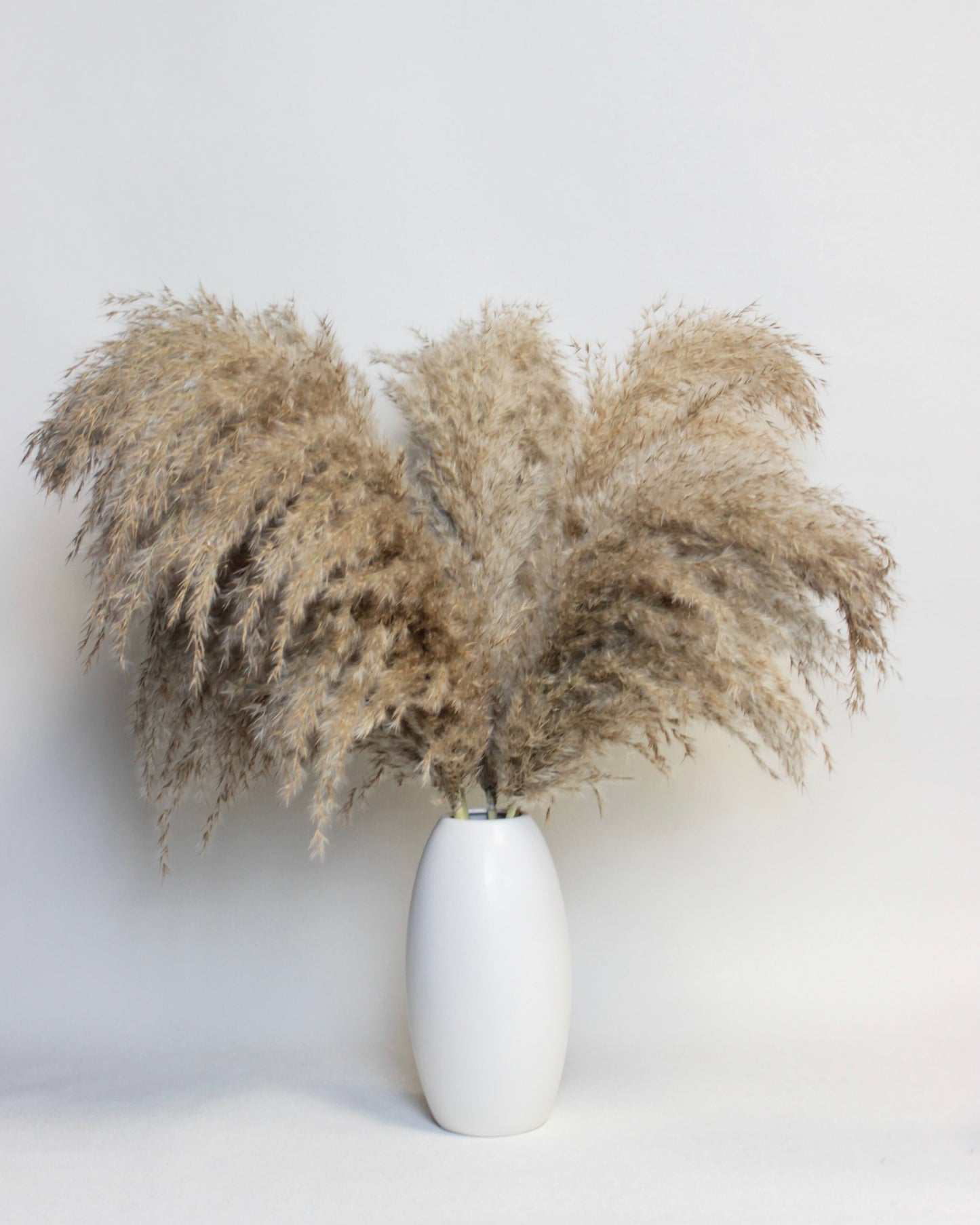 Medium Pampas Grass – Natural