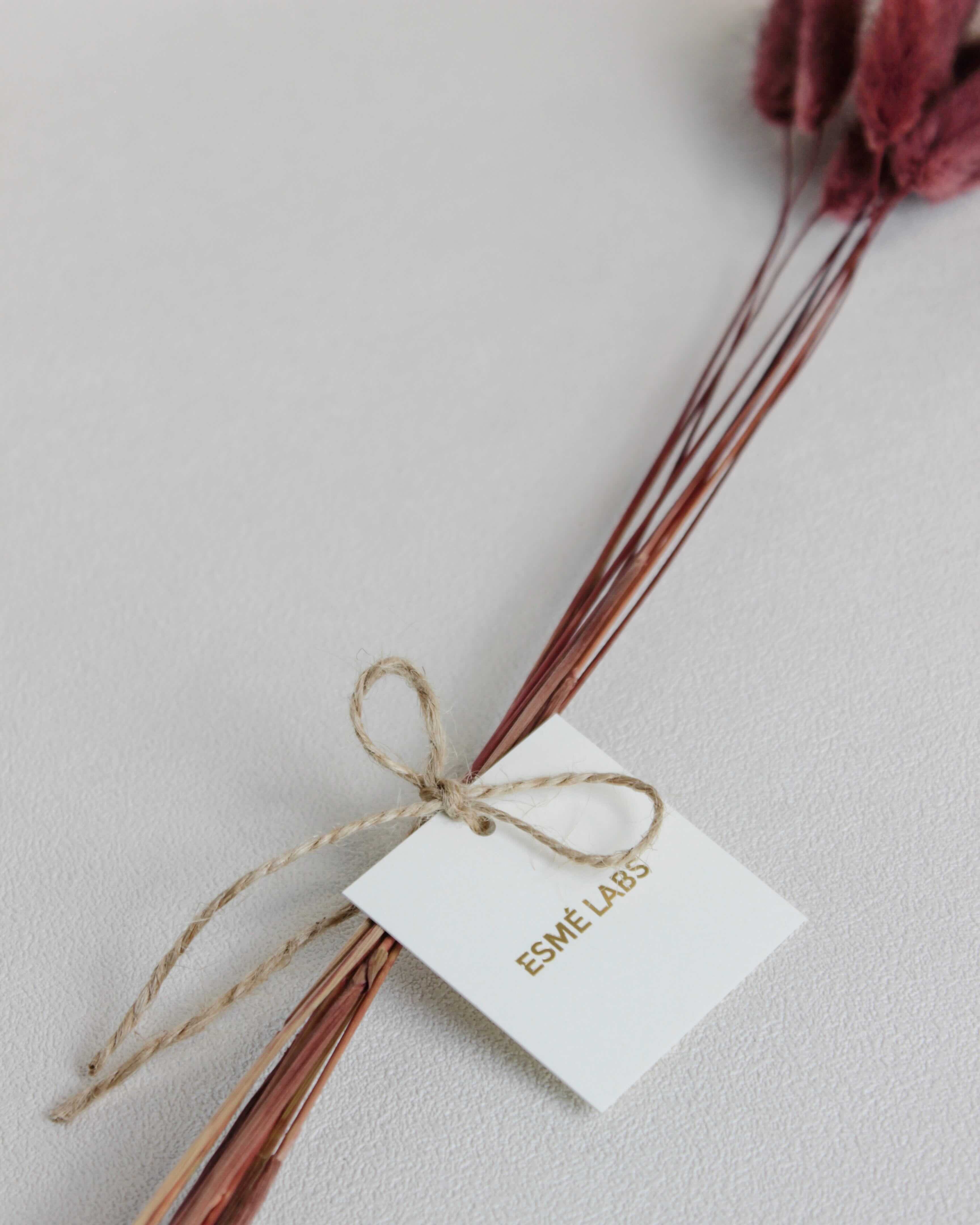 Zaķaste (Lagurus) – Burgundijas