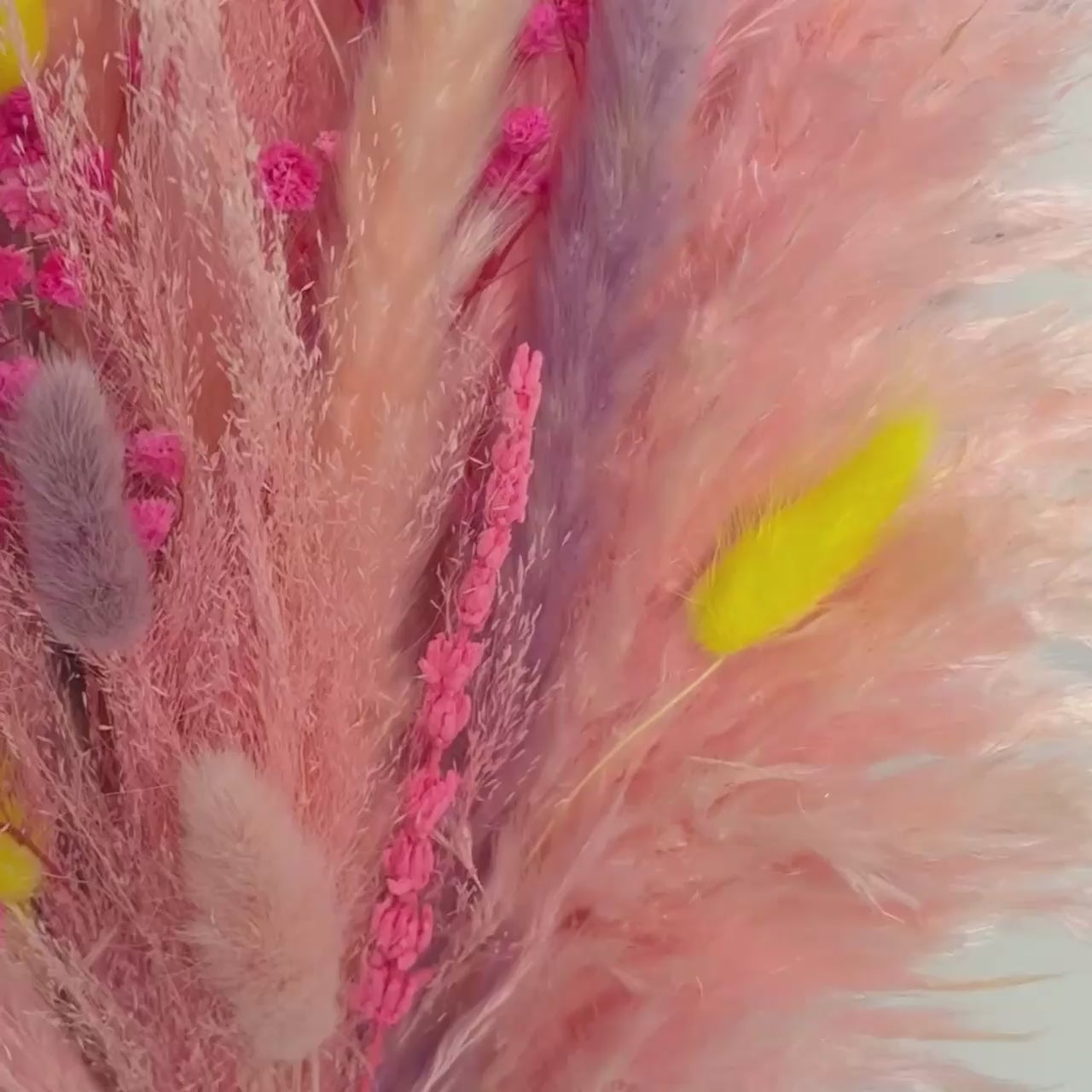 CANDY BLOOM SAUSO ZIEDU PUŠĶIS