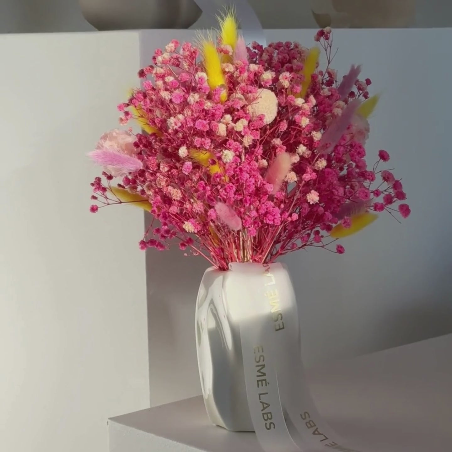 MAZĀ PRINCESE SAUSO ZIEDU PUŠĶIS