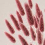 Bunny Tails – Light Burgundy