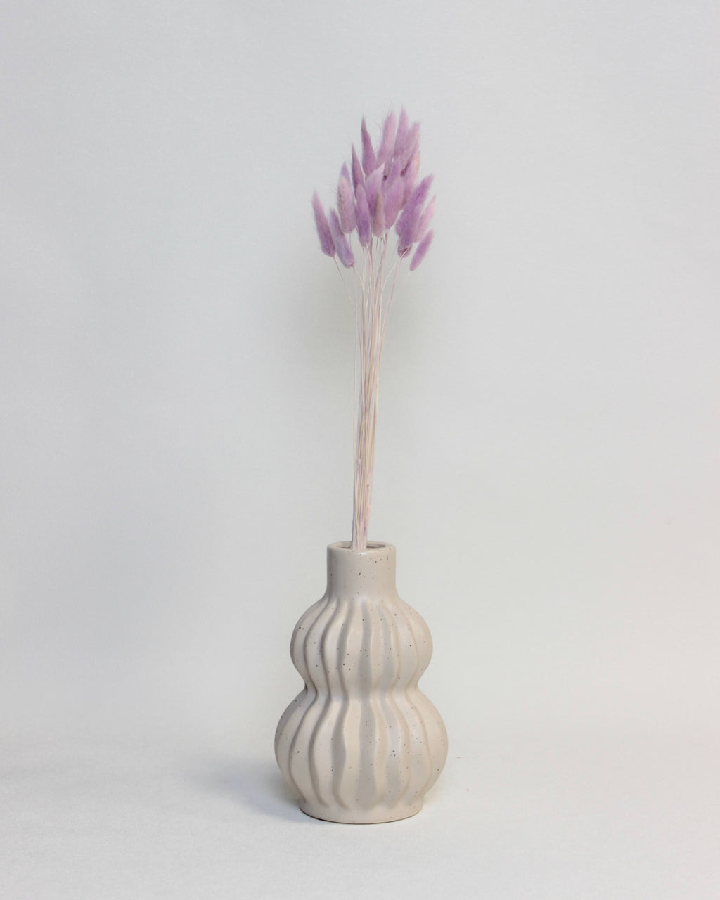 Zaķaste (Lagurus) – Lillā