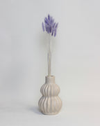 Zaķaste (Lagurus) – Violeta