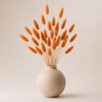 Ceramic vase with dried orange bunny tail plants on a beige background