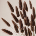 Bunny Tails – Espresso