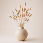 White vase with natural dried lagurus grass (bunny tails) on a beige background