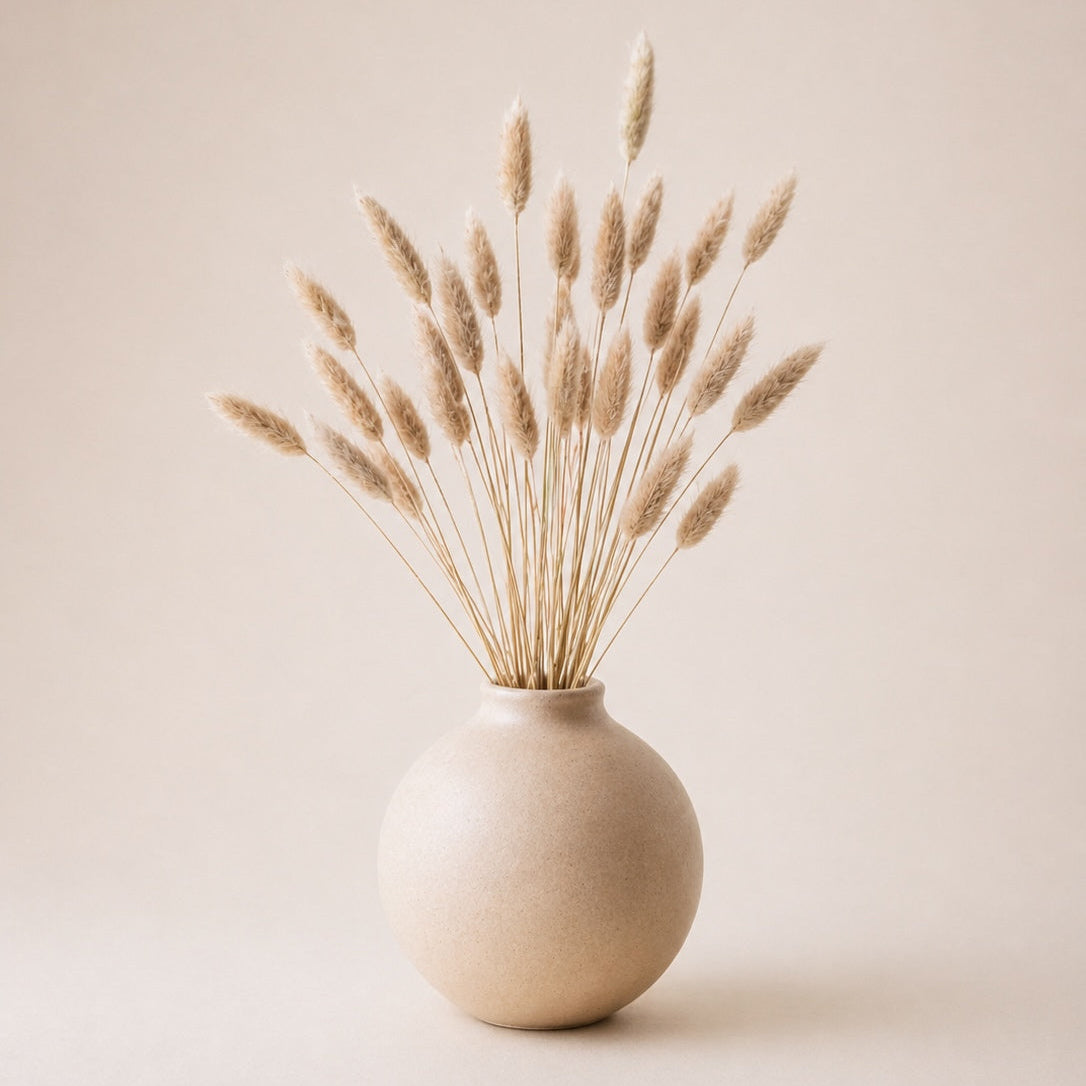 White vase with natural dried lagurus grass (bunny tails) on a beige background