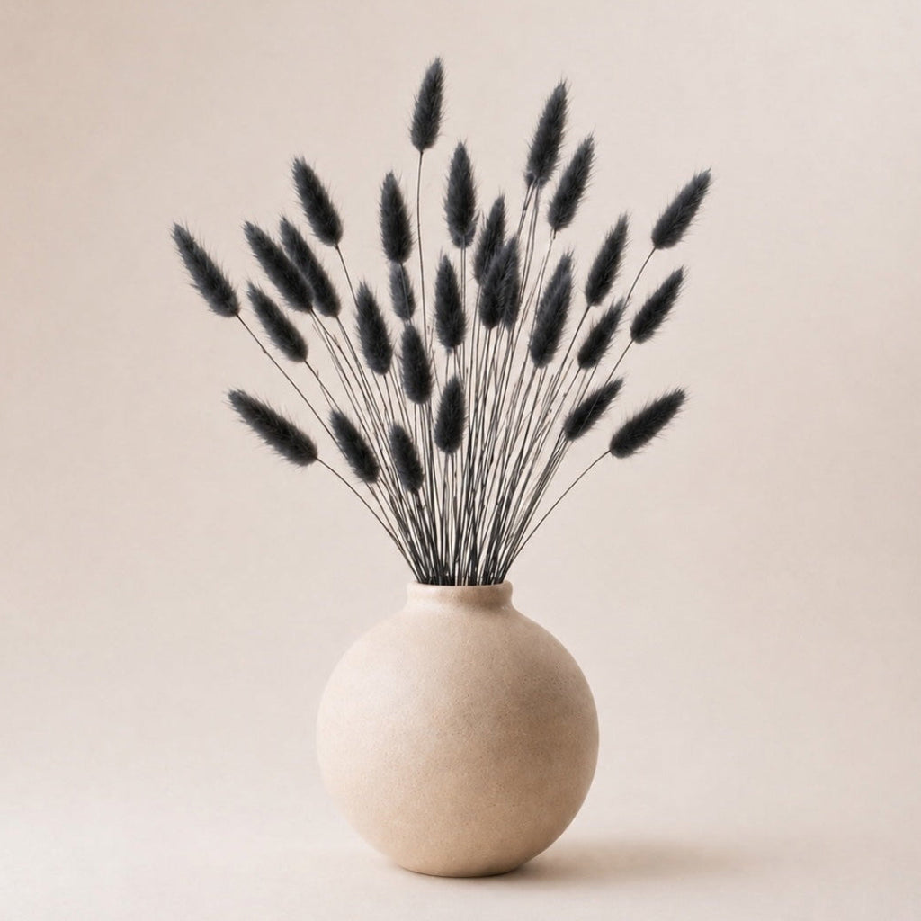 Beige vase with dried black bunny tails (lagurus grass) on a beige background