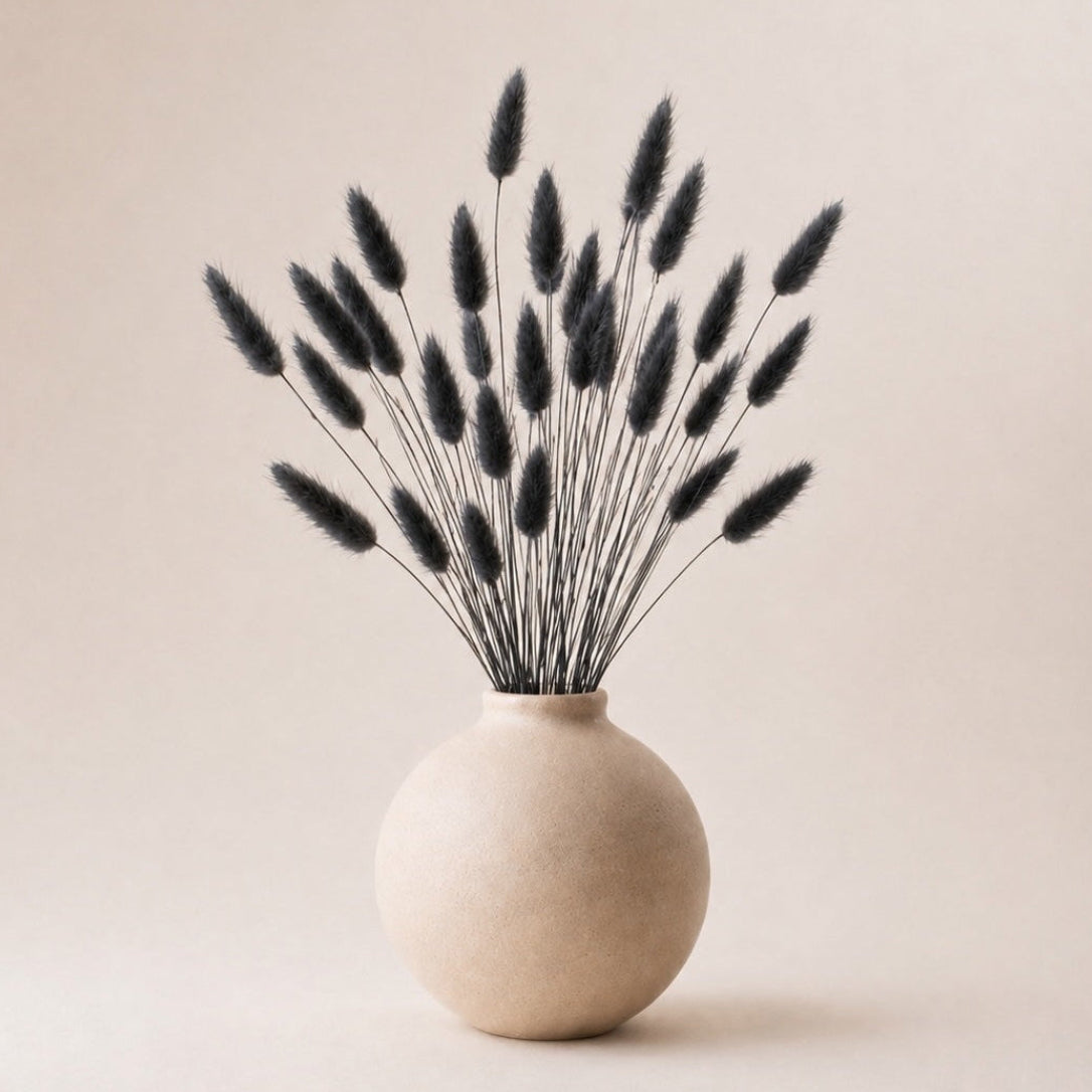 Beige vase with dried black bunny tails (lagurus grass) on a beige background