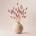 Beige vase with pink light burgundy dried bunny tails (lagurus grass) on a beige background