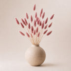 Beige vase with pink light burgundy dried bunny tails (lagurus grass) on a beige background