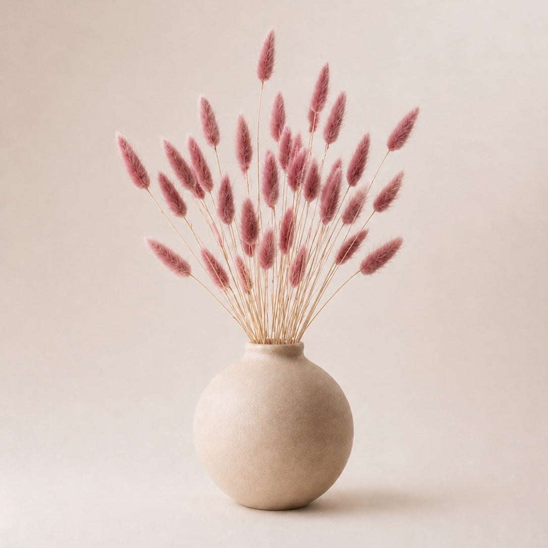 Beige vase with pink light burgundy dried bunny tails (lagurus grass) on a beige background