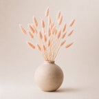 Beige vase with dried peachy pink bunny tail (lagurus) grass on a beige background