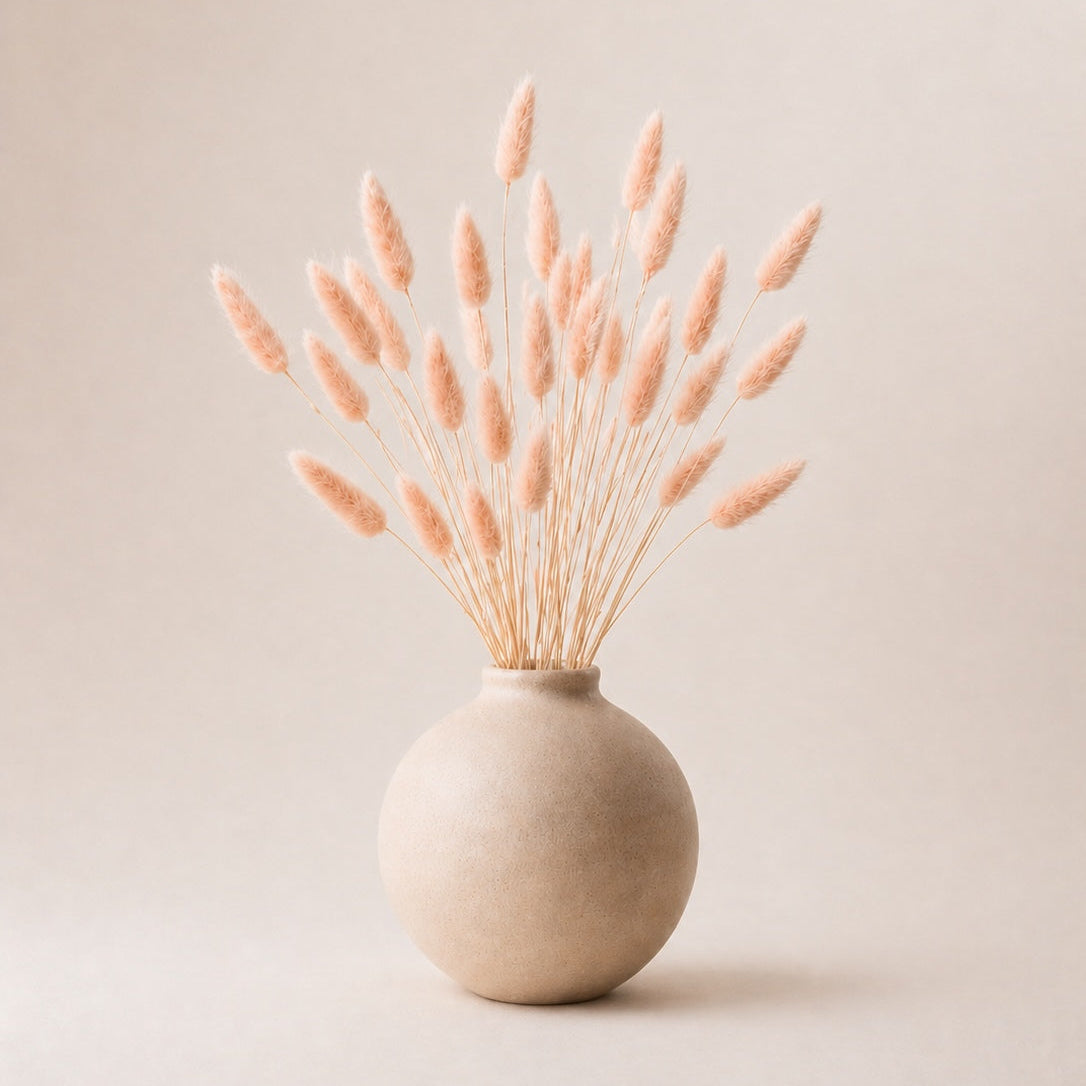 Beige vase with dried peachy pink bunny tail (lagurus) grass on a beige background