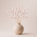 Beige vase with dried pink lagurus (bunny tails) grass on a beige background