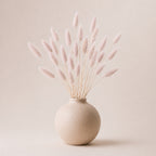 Beige vase with dried pink lagurus (bunny tails) grass on a beige background