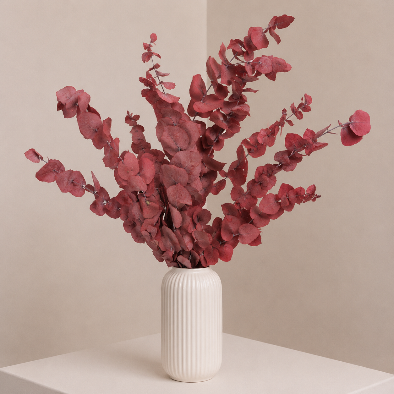 Preserved Eucalyptus Stuartiana – Red