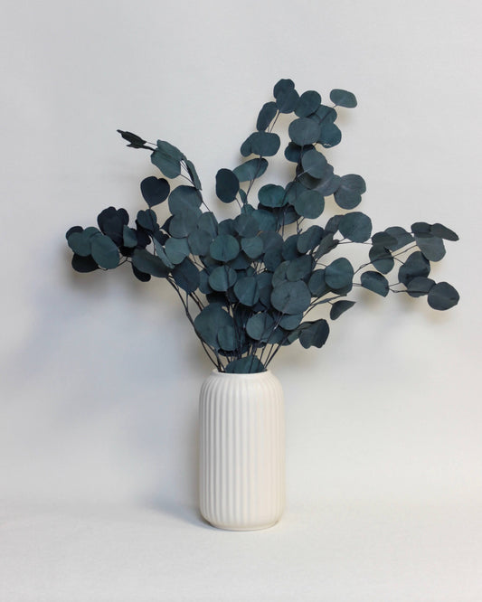 Preserved Silver Dollar Eucalyptus – Green