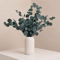 Preserved Silver Dollar Eucalyptus – Green