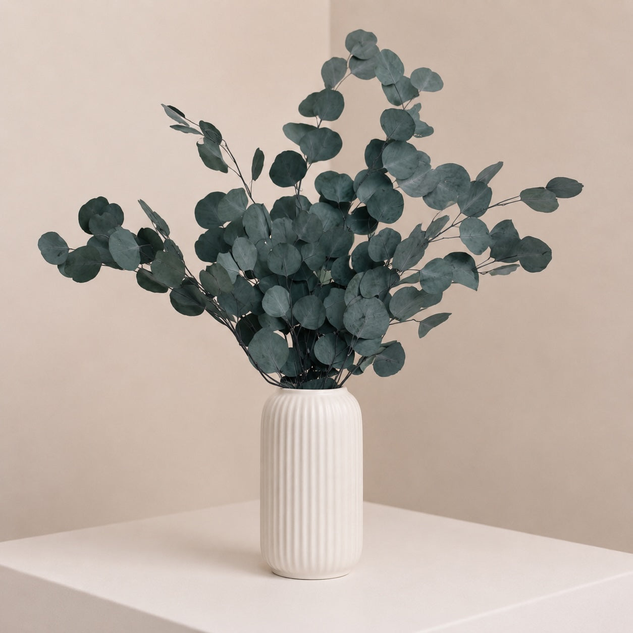 Preserved Silver Dollar Eucalyptus – Green