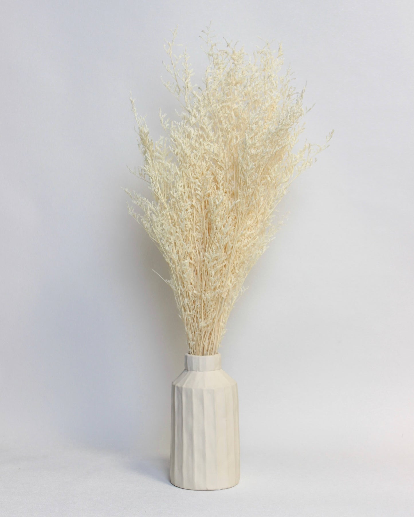 Preserved Limonium – Beige