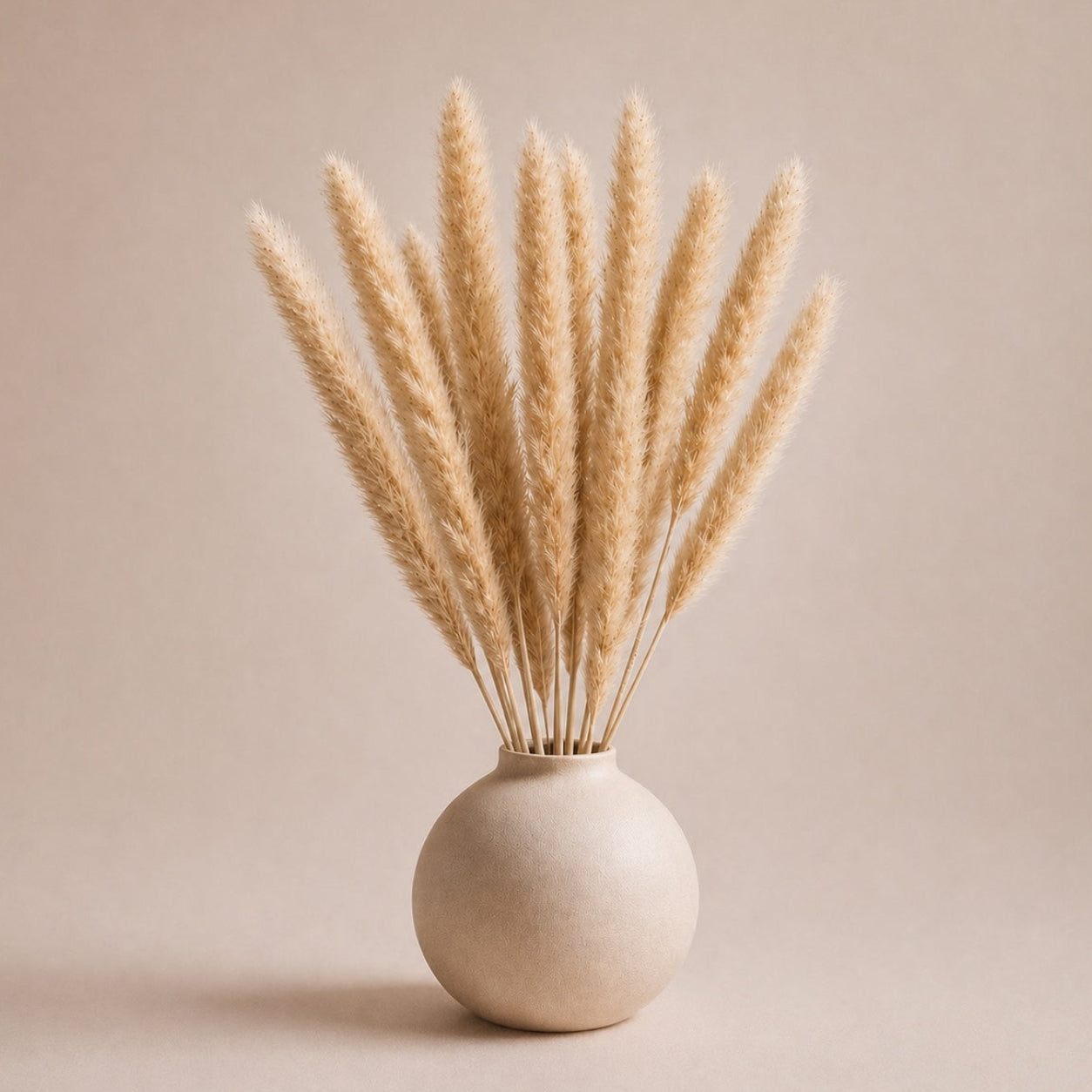Small Pampas – Golden Beige