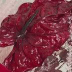 Je T’aime – Luxe Stabilizēto Ziedu Pušķis