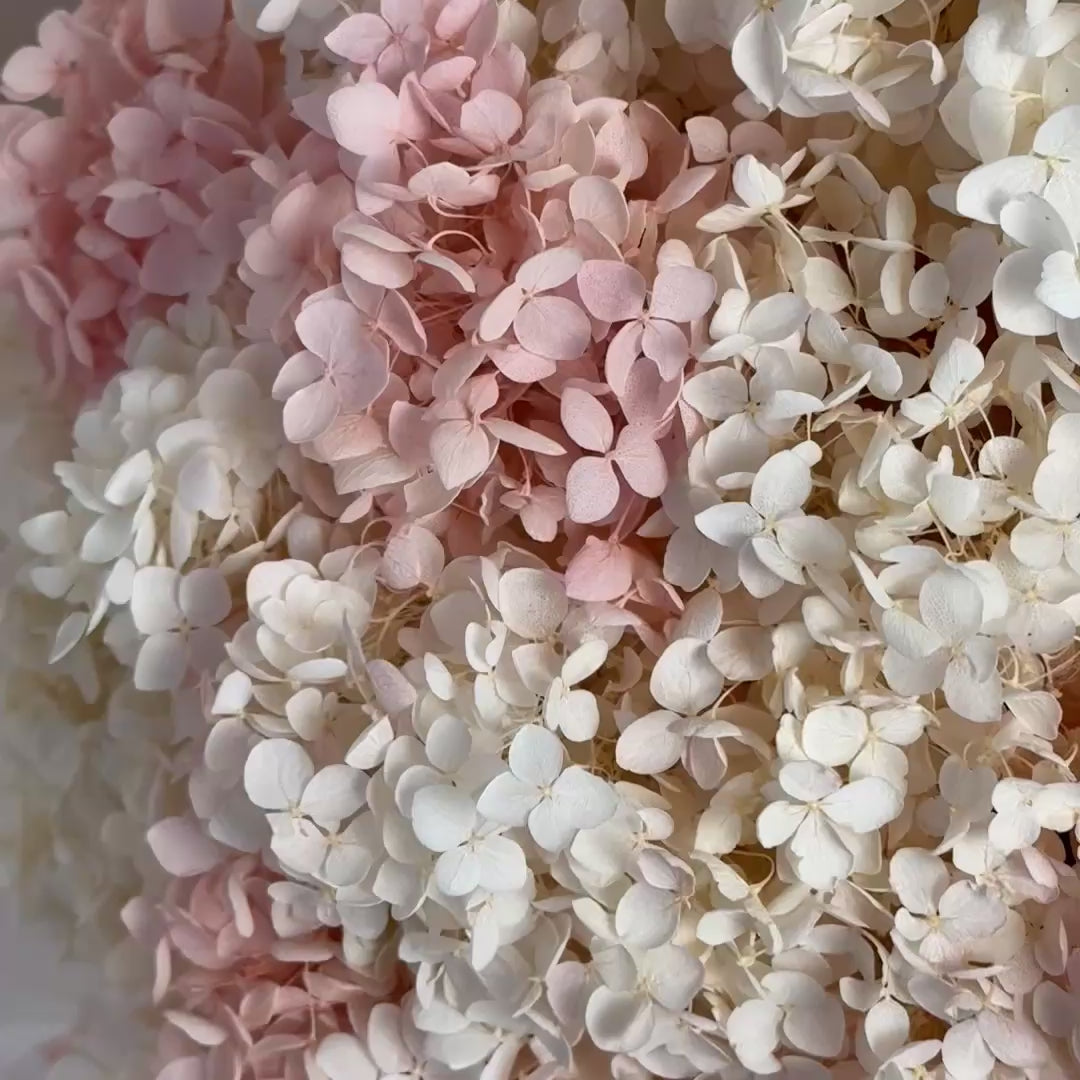Preserved Hydrangea Cloud Arrangement