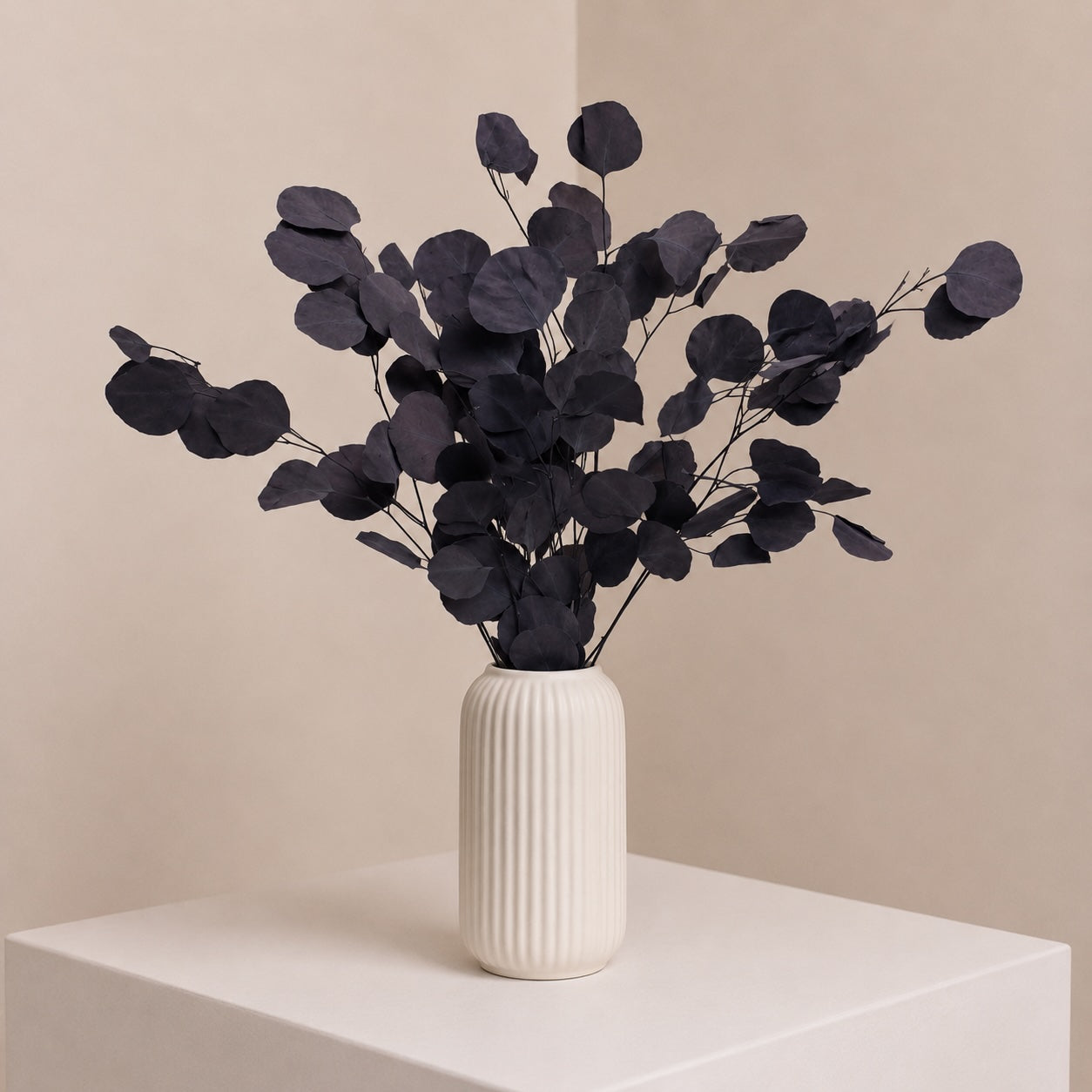 Preserved Silver Dollar Eucalyptus – Purple