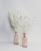 Small Pampas – Ivory (15 stems)